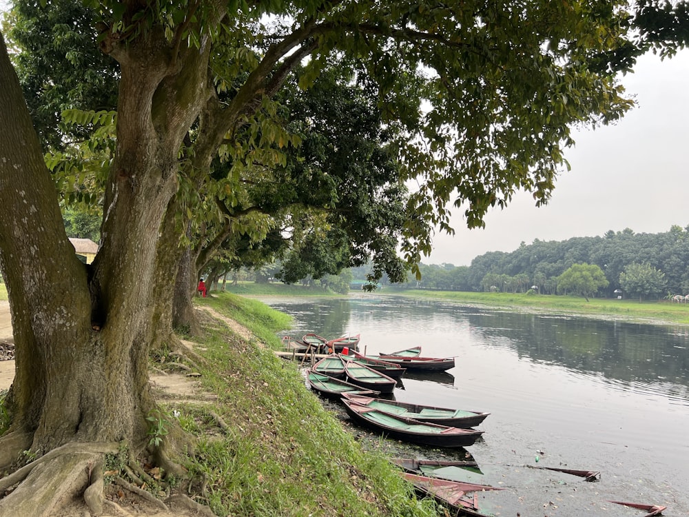 a group of boats sit on the shore of a lake