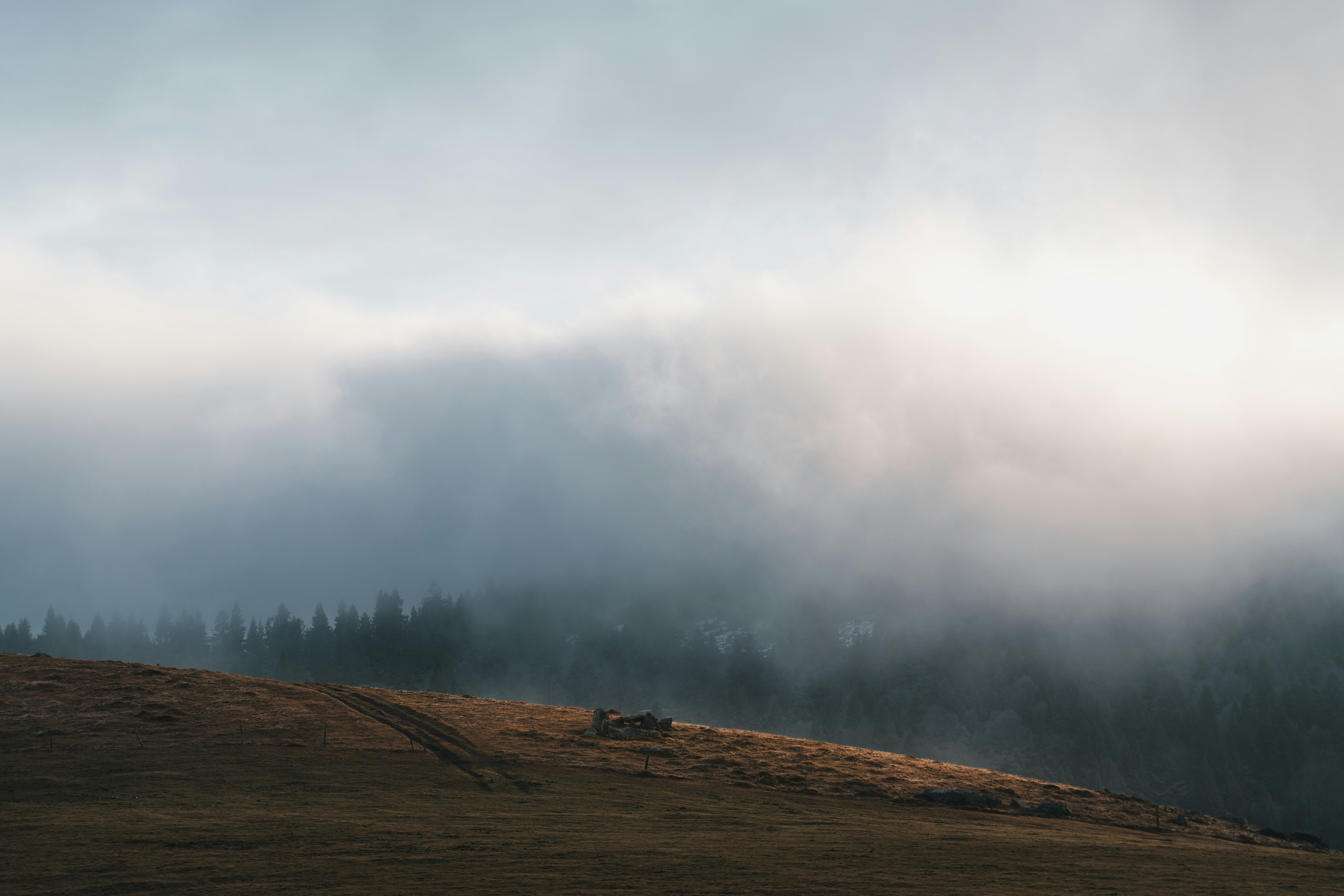 Photo by yohanmarion