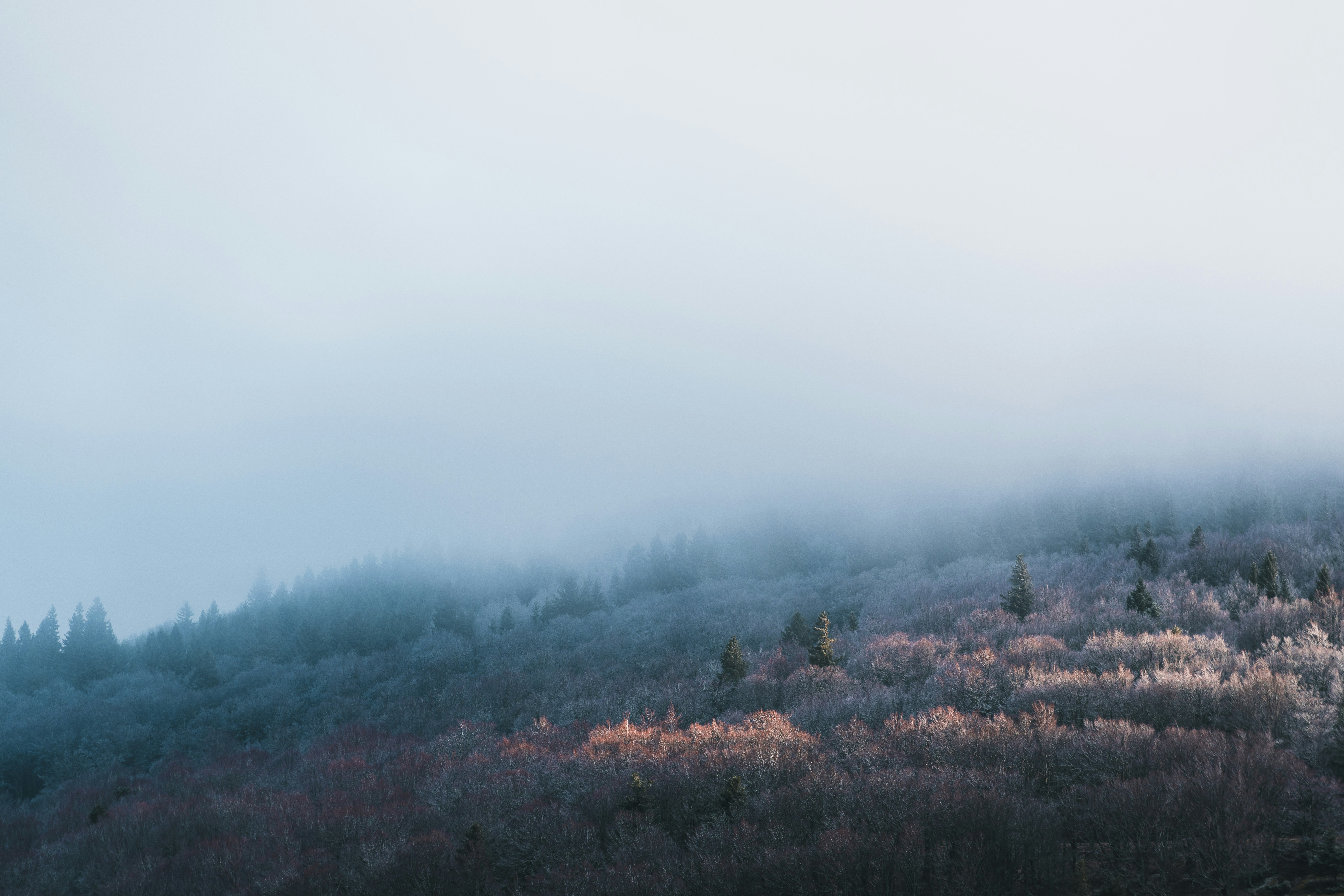 Photo by yohanmarion