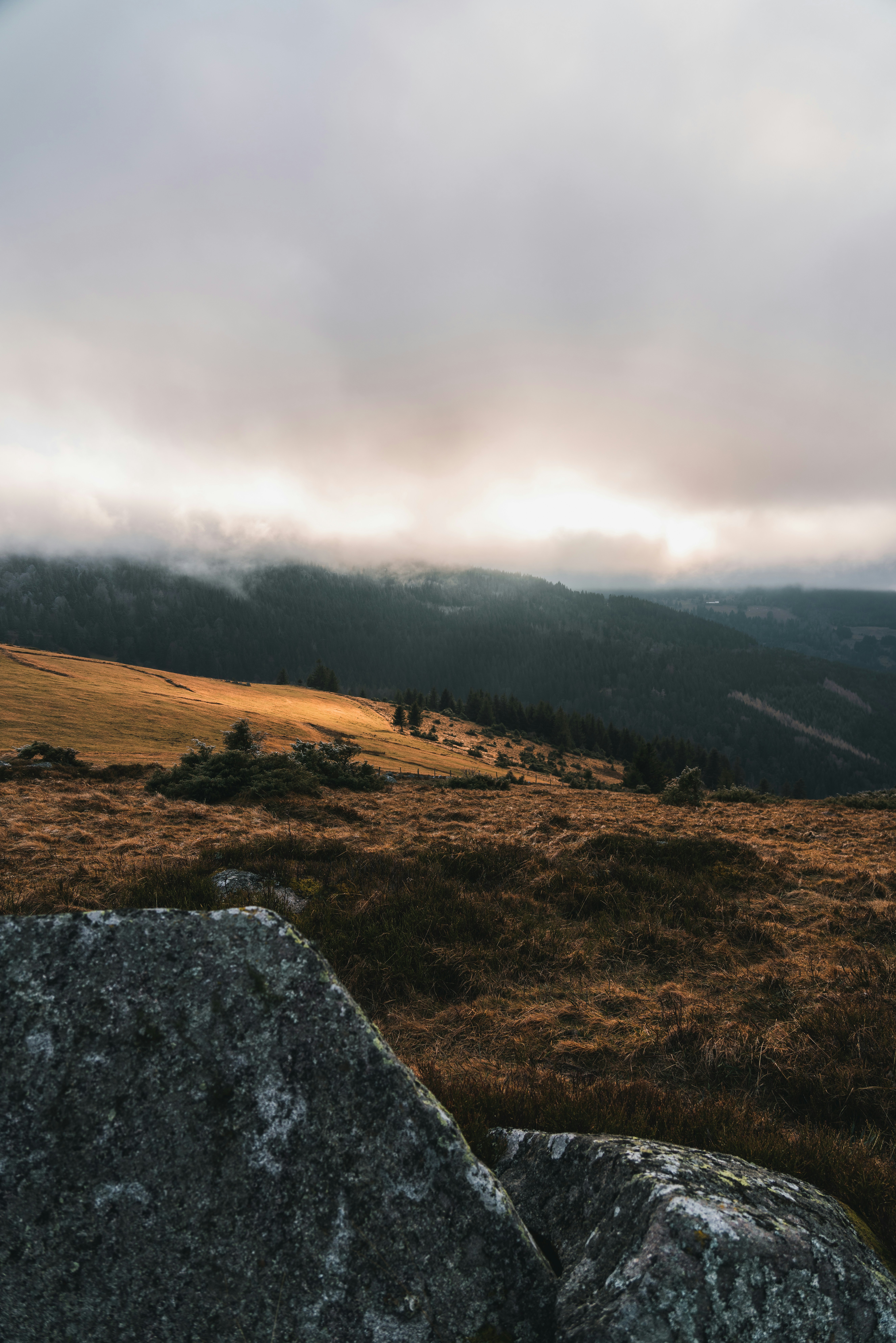 Photo by yohanmarion