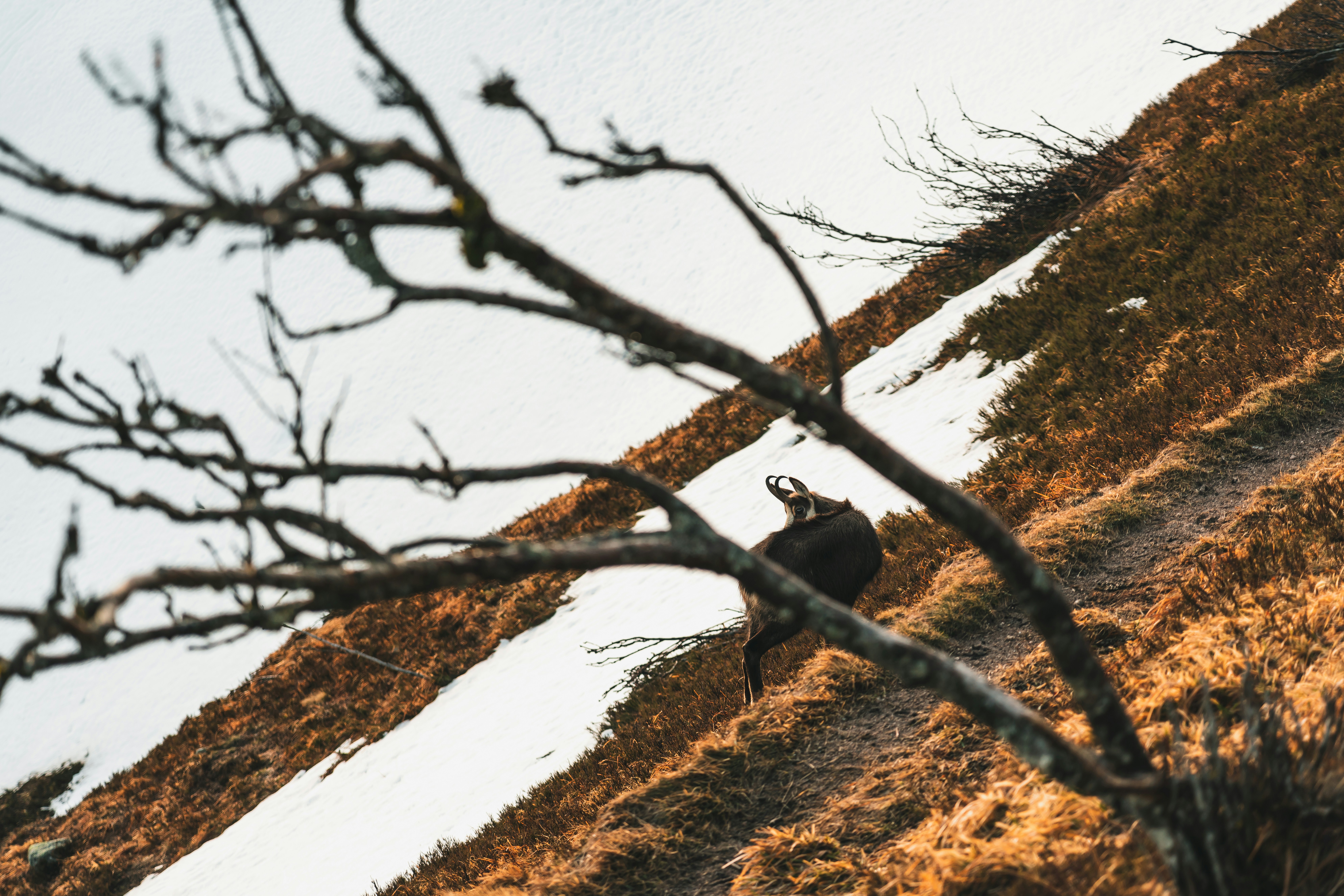 Photo by yohanmarion