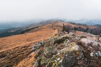 a rocky hillside with trees and a foggy sky