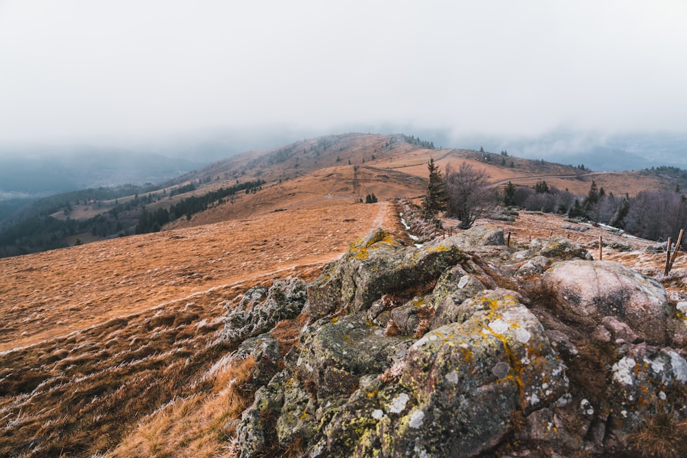 a rocky hillside with trees and a foggy sky