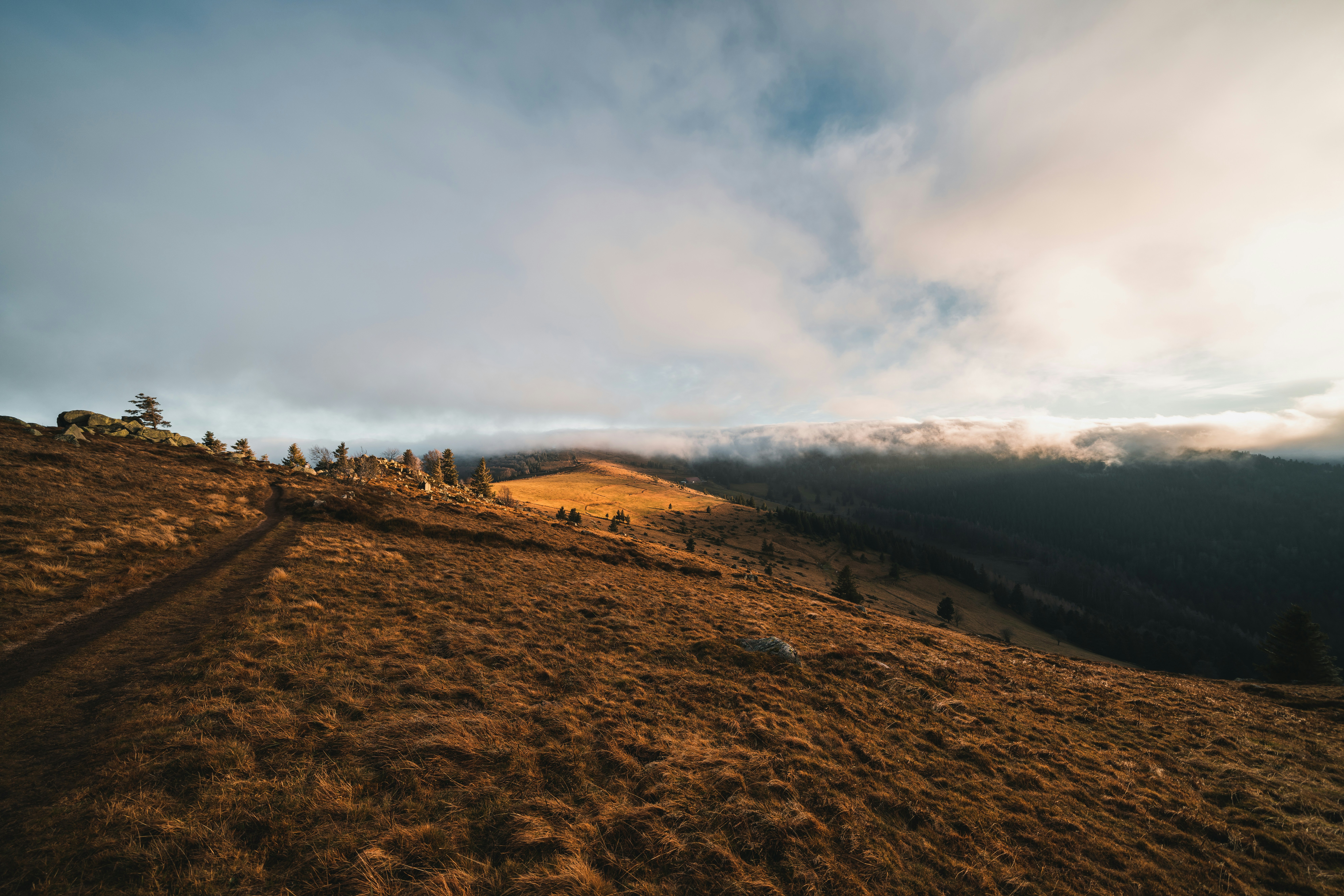 Photo by yohanmarion