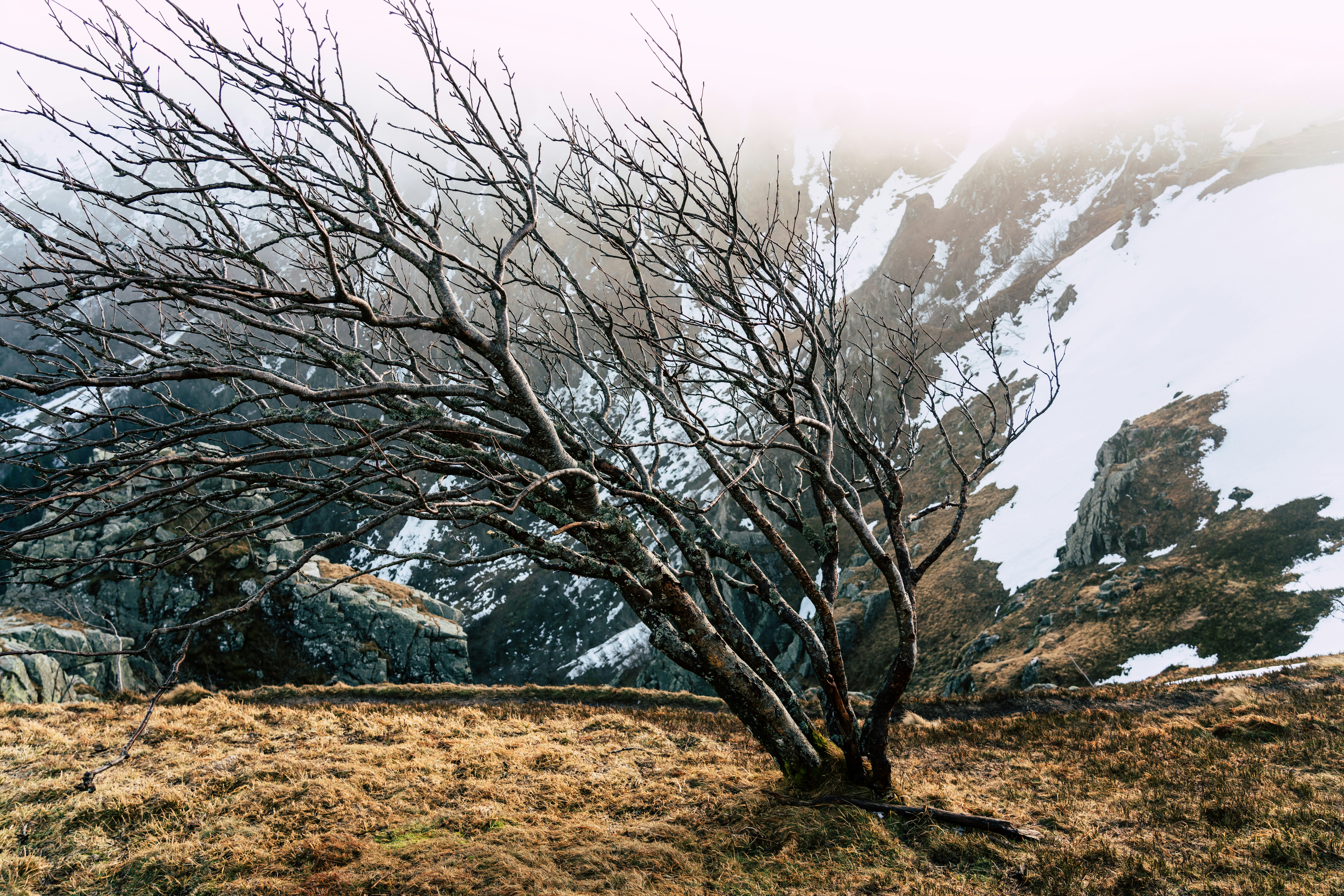 Photo by yohanmarion