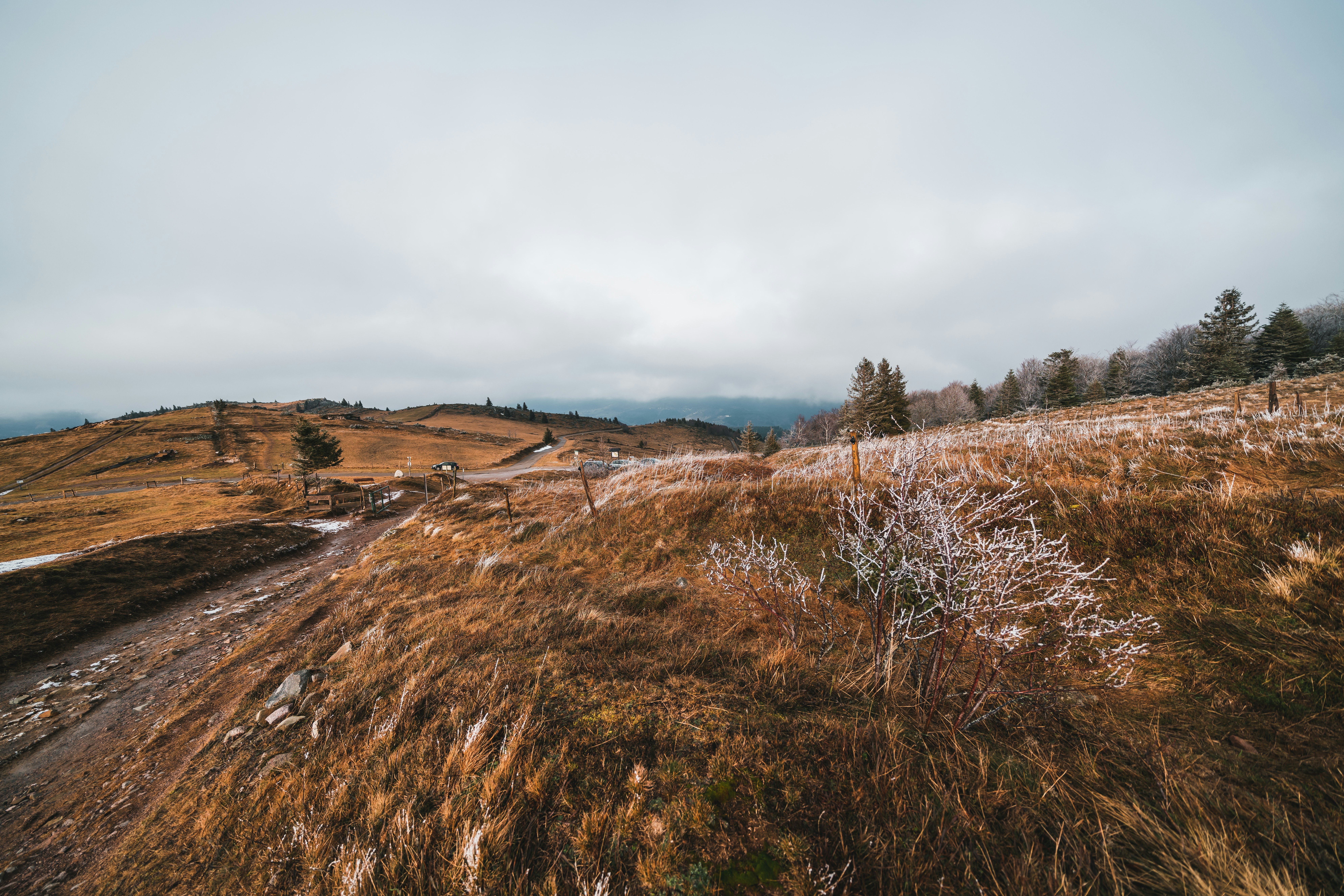 Photo by yohanmarion