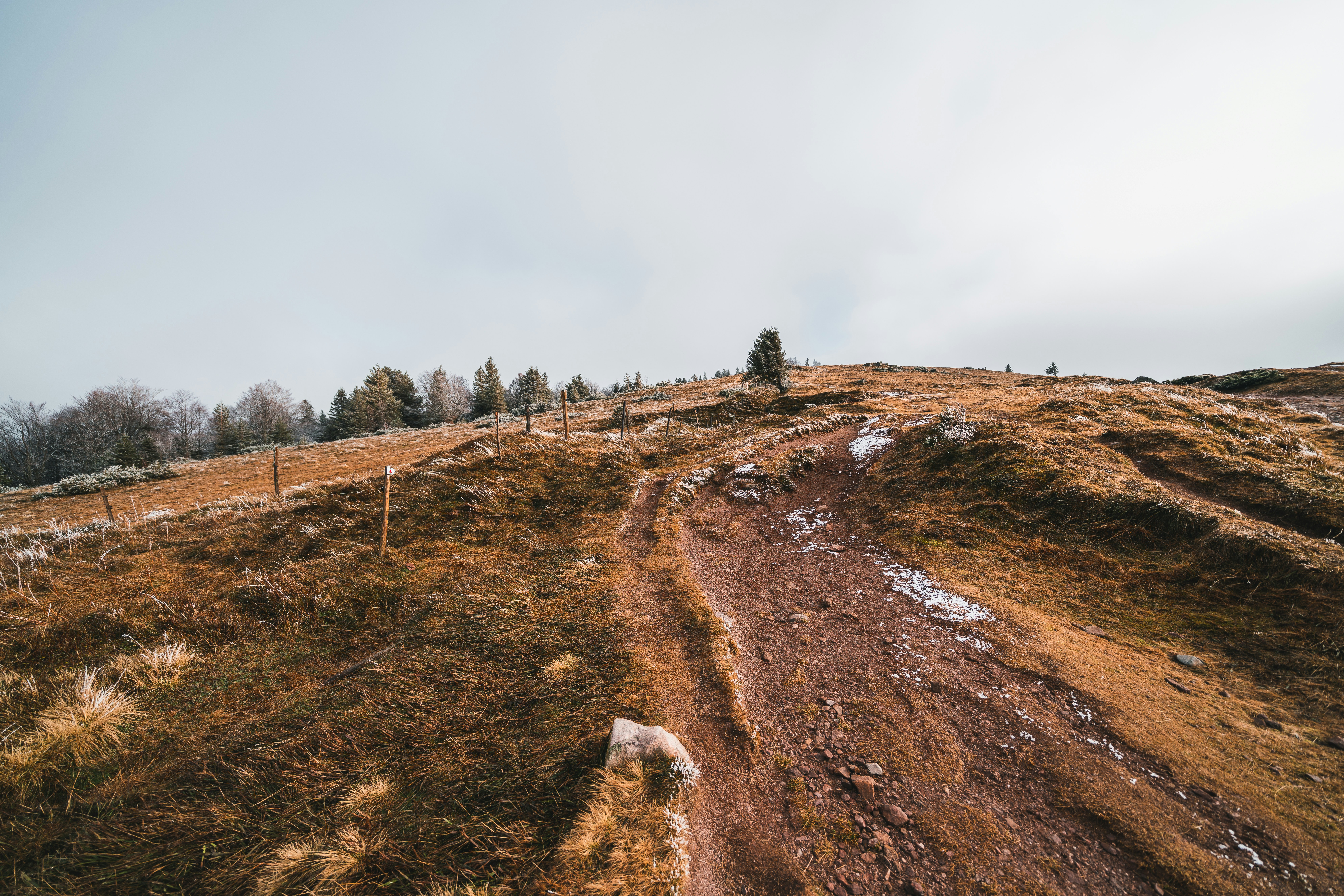 Photo by yohanmarion