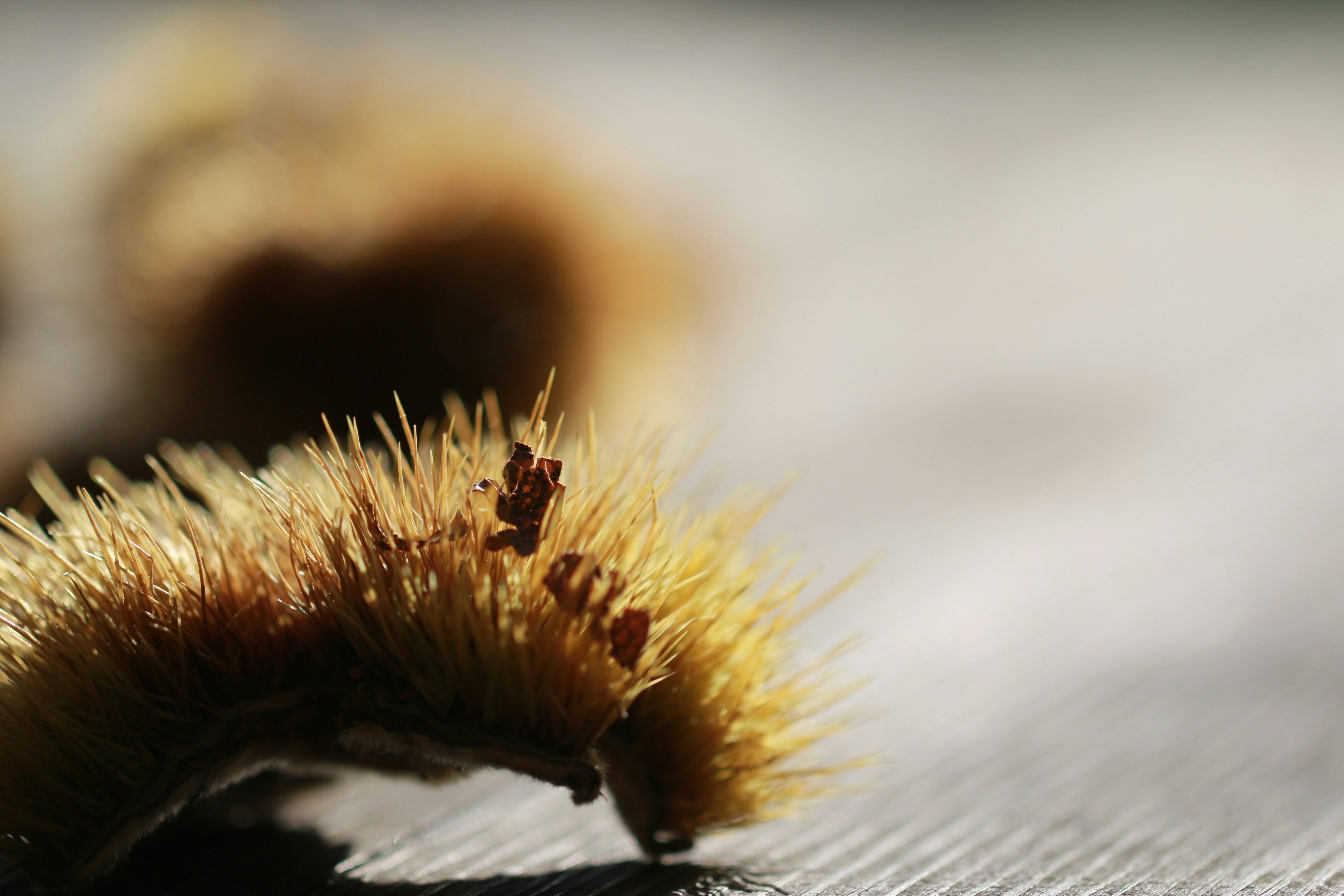 Photo by eightyninedesign