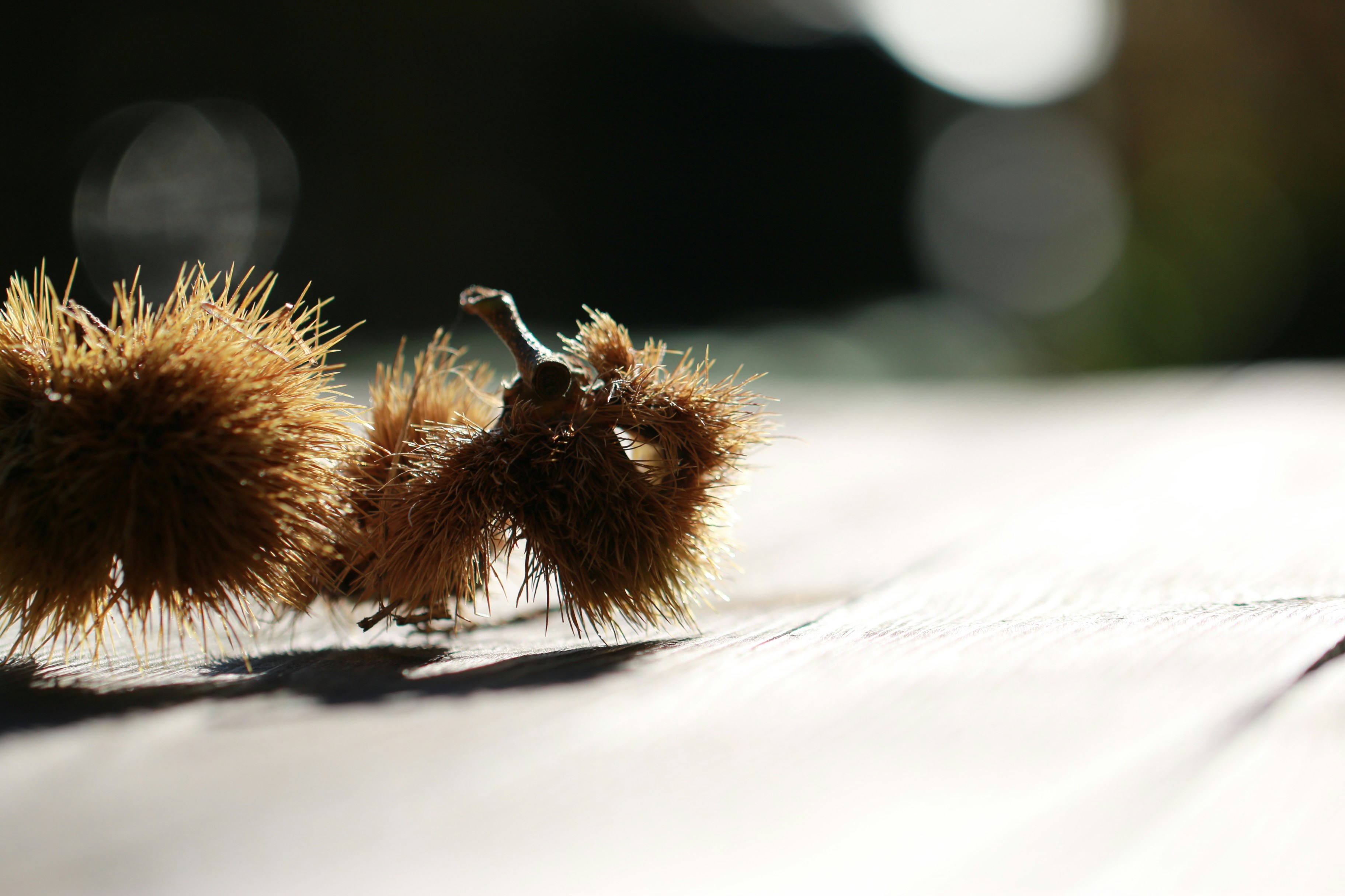 Photo by eightyninedesign