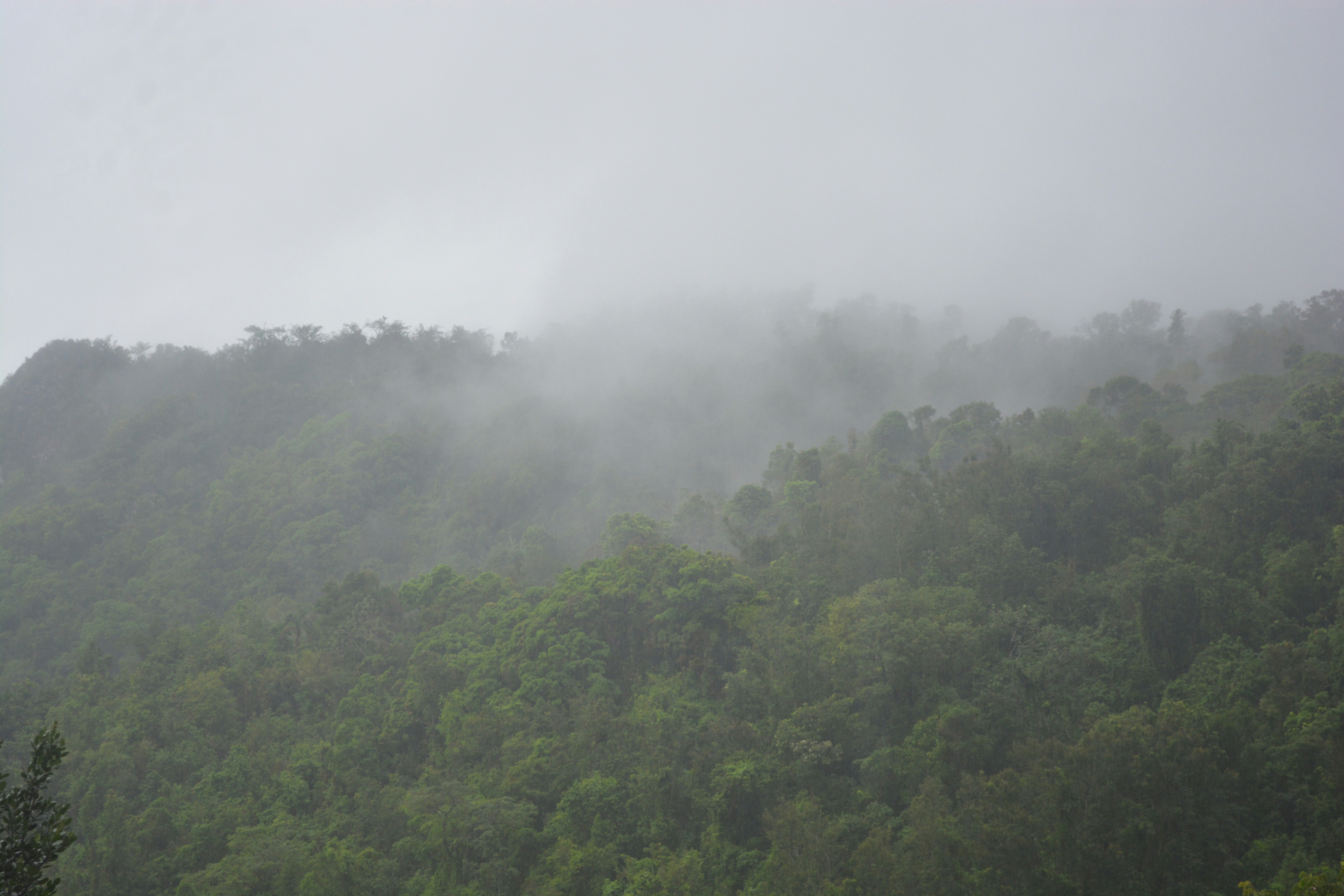 Photo by hpcrownvisuals