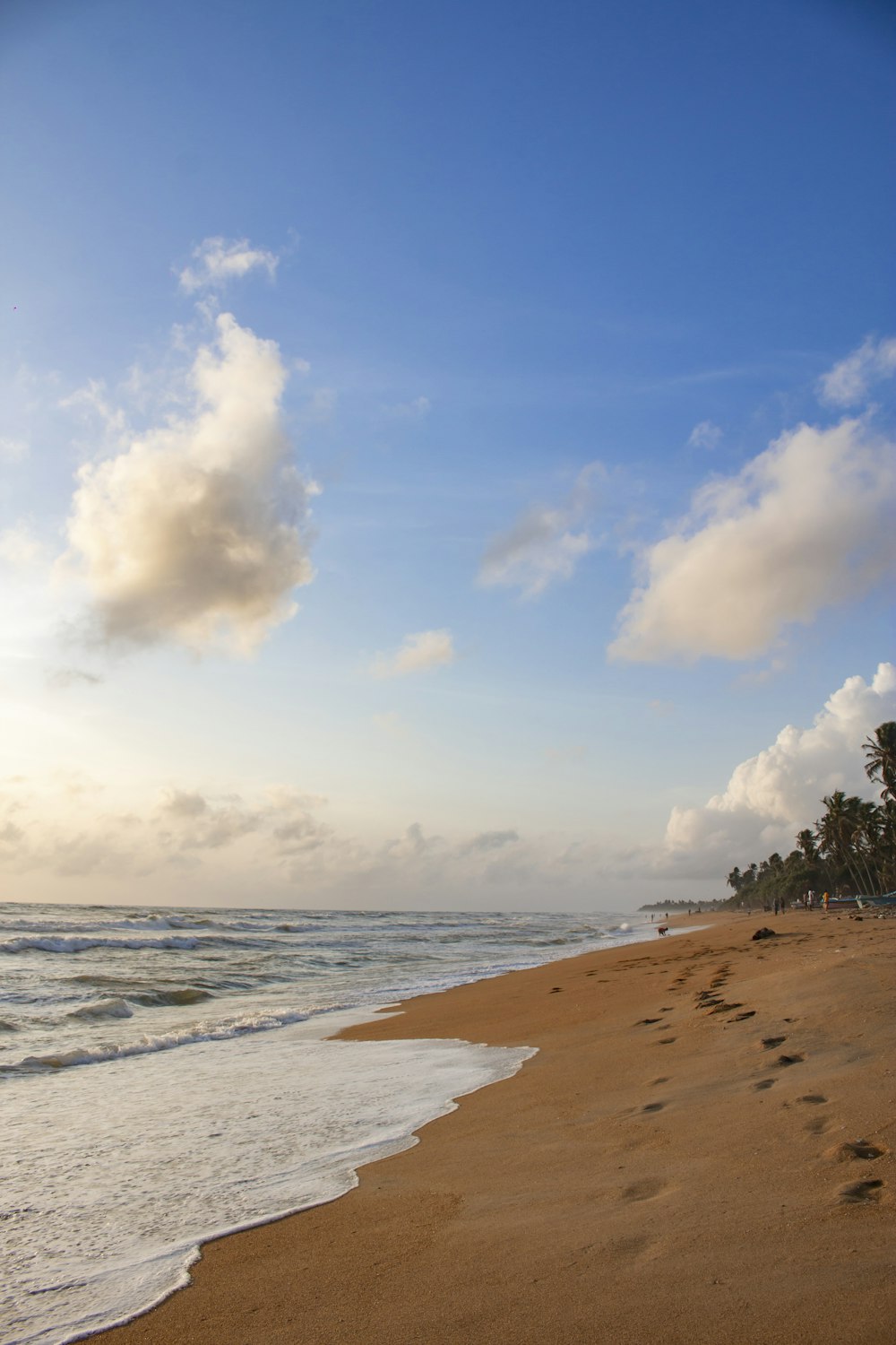 a sandy beach with trees and blue sky