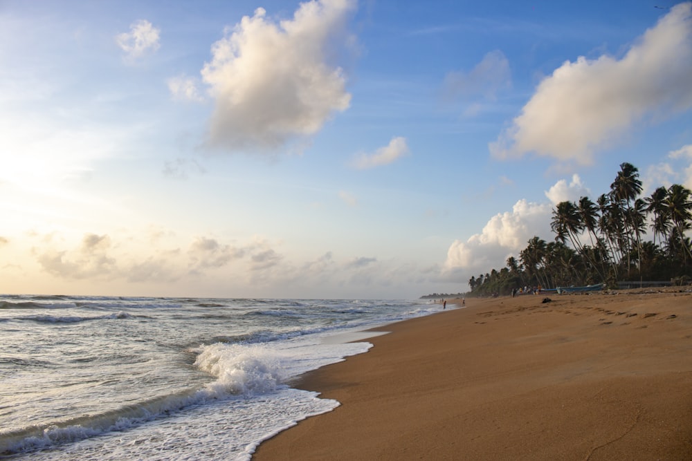 a sandy beach with palm trees and blue sky