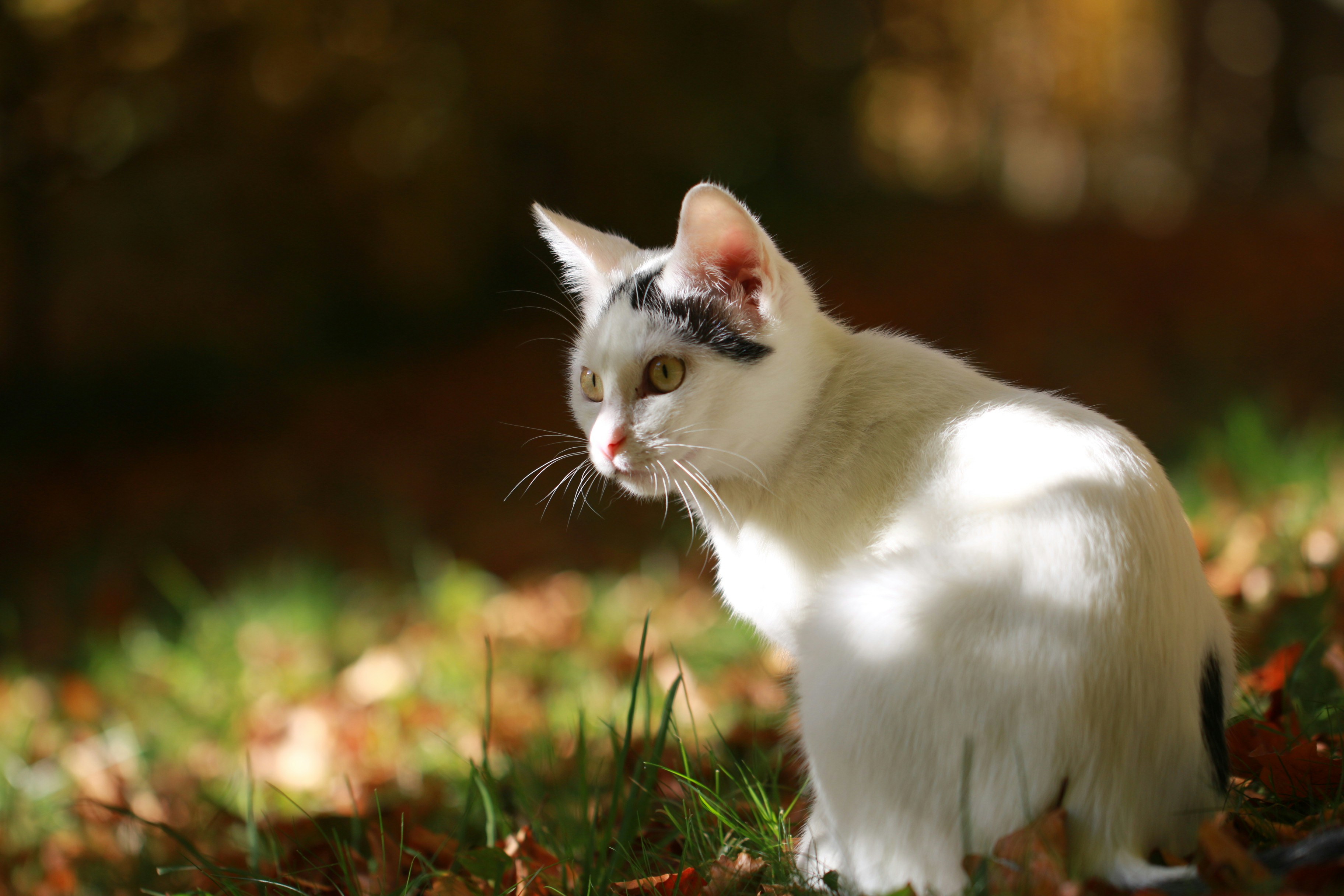 Photo by eightyninedesign