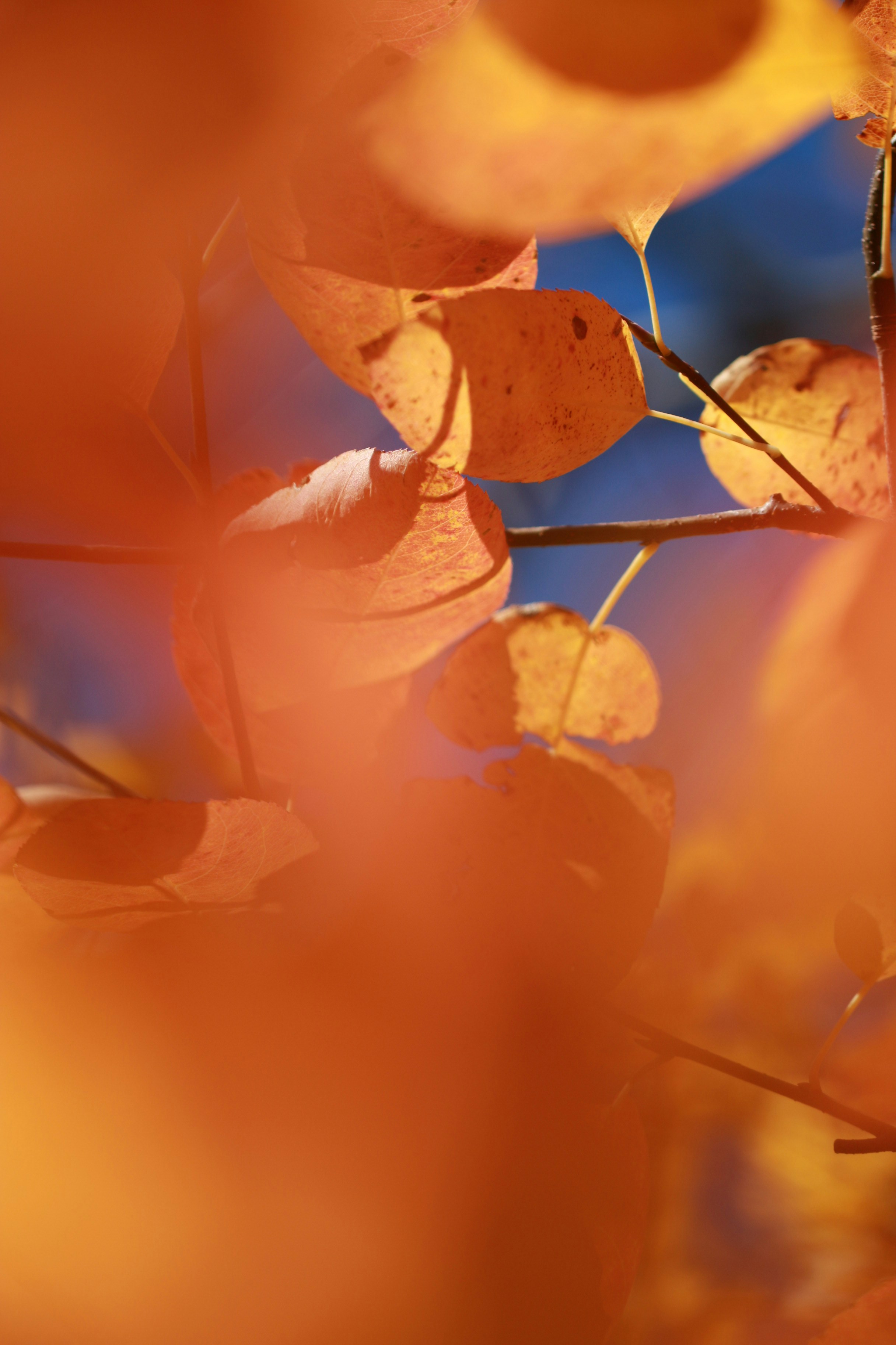 Photo by eightyninedesign