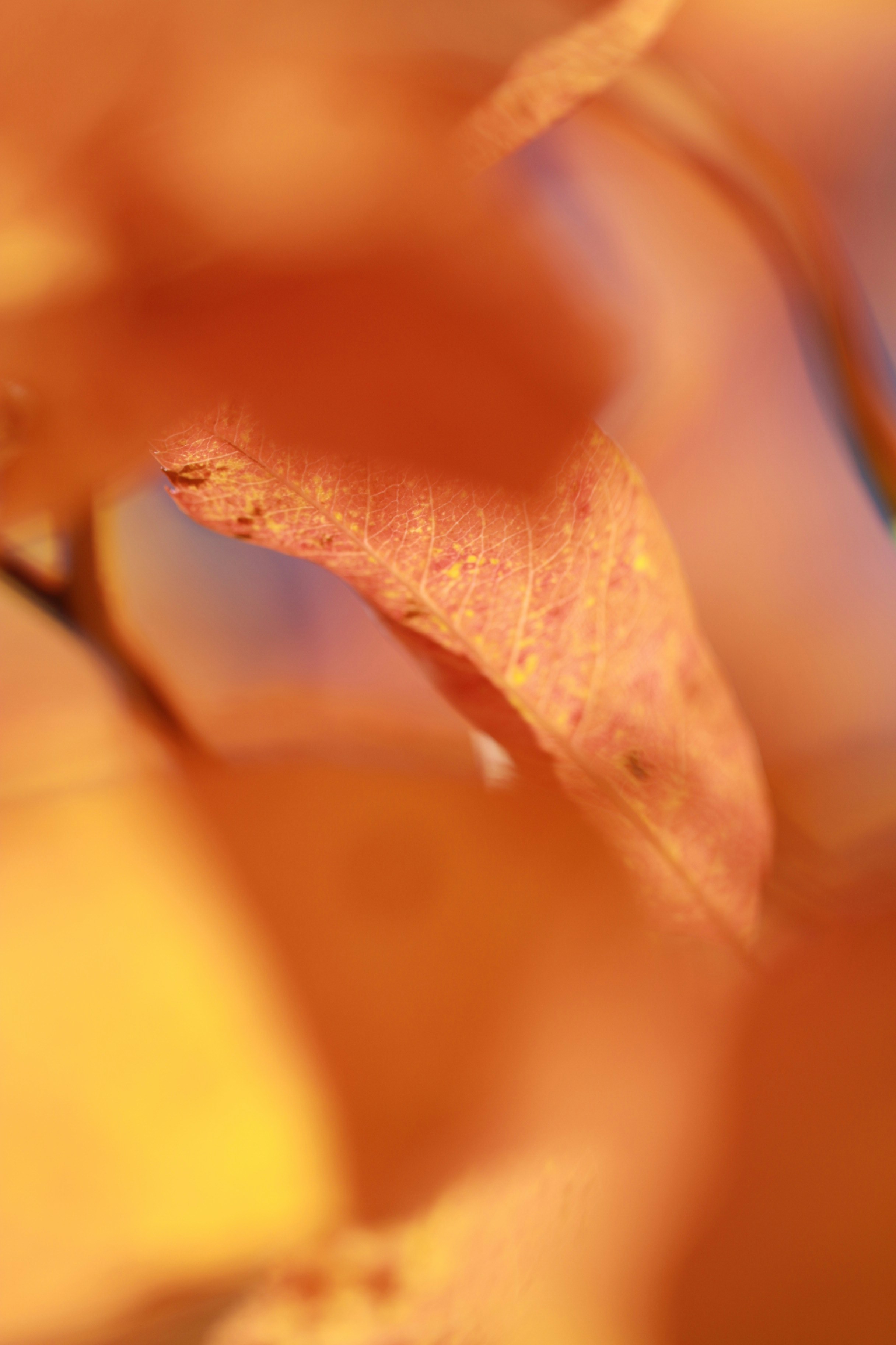 Photo by eightyninedesign