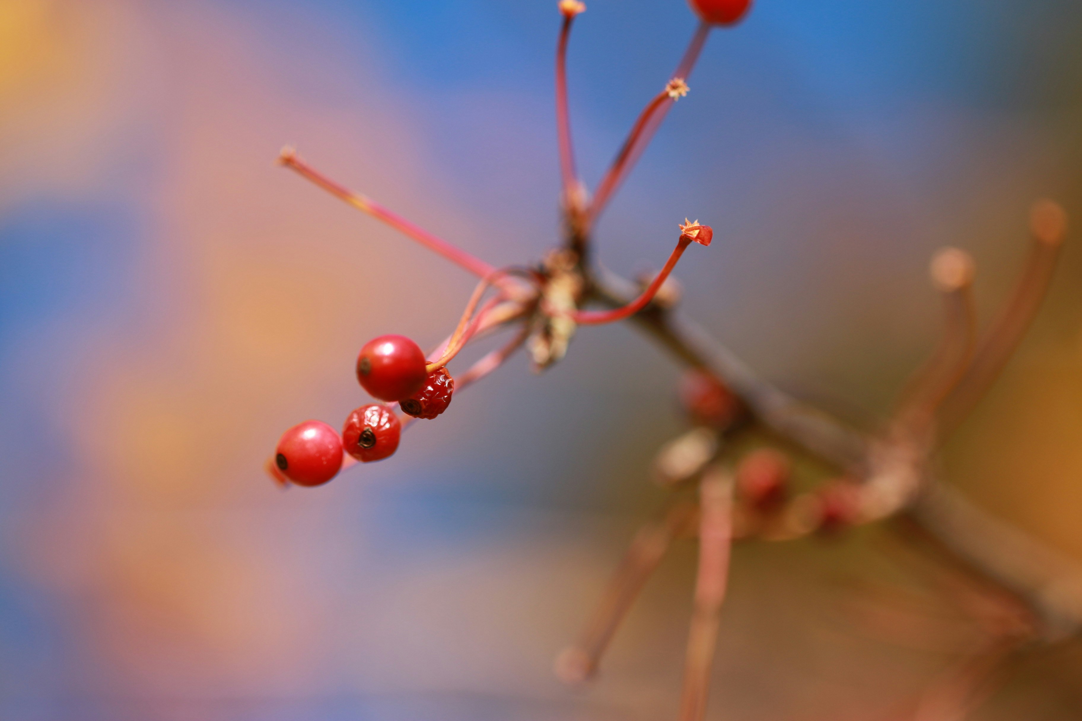 Photo by eightyninedesign