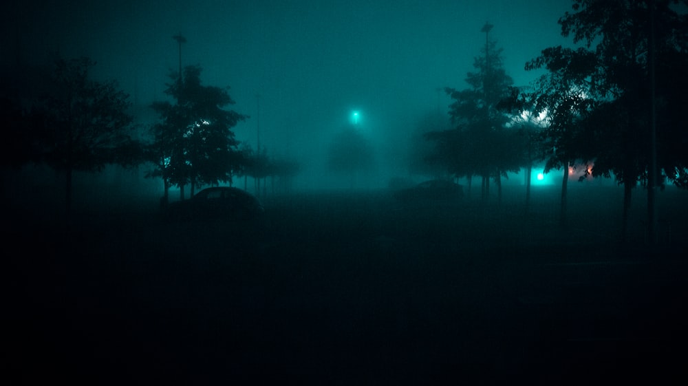 a foggy night with trees and a street light