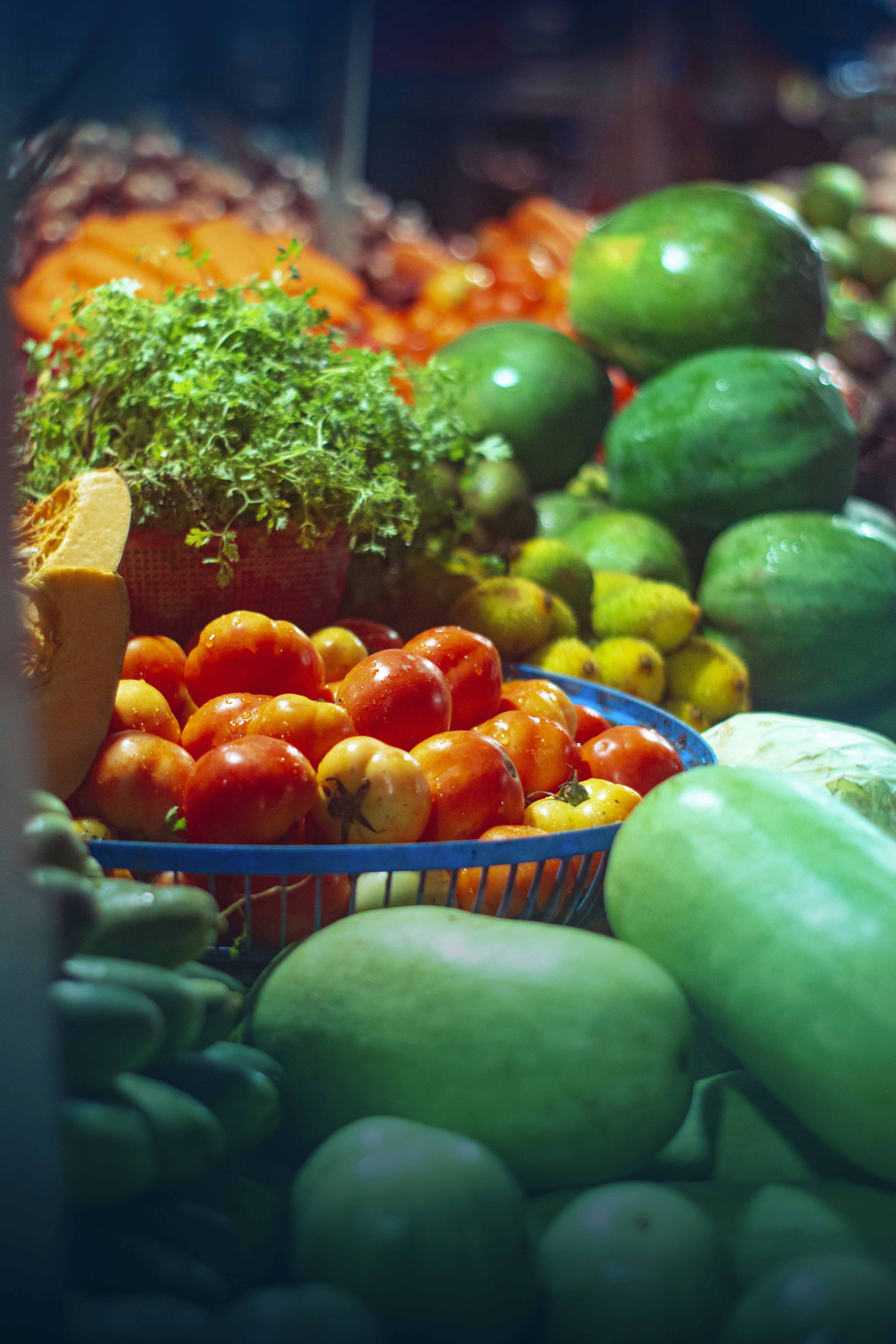 Photo by tarikulxraana