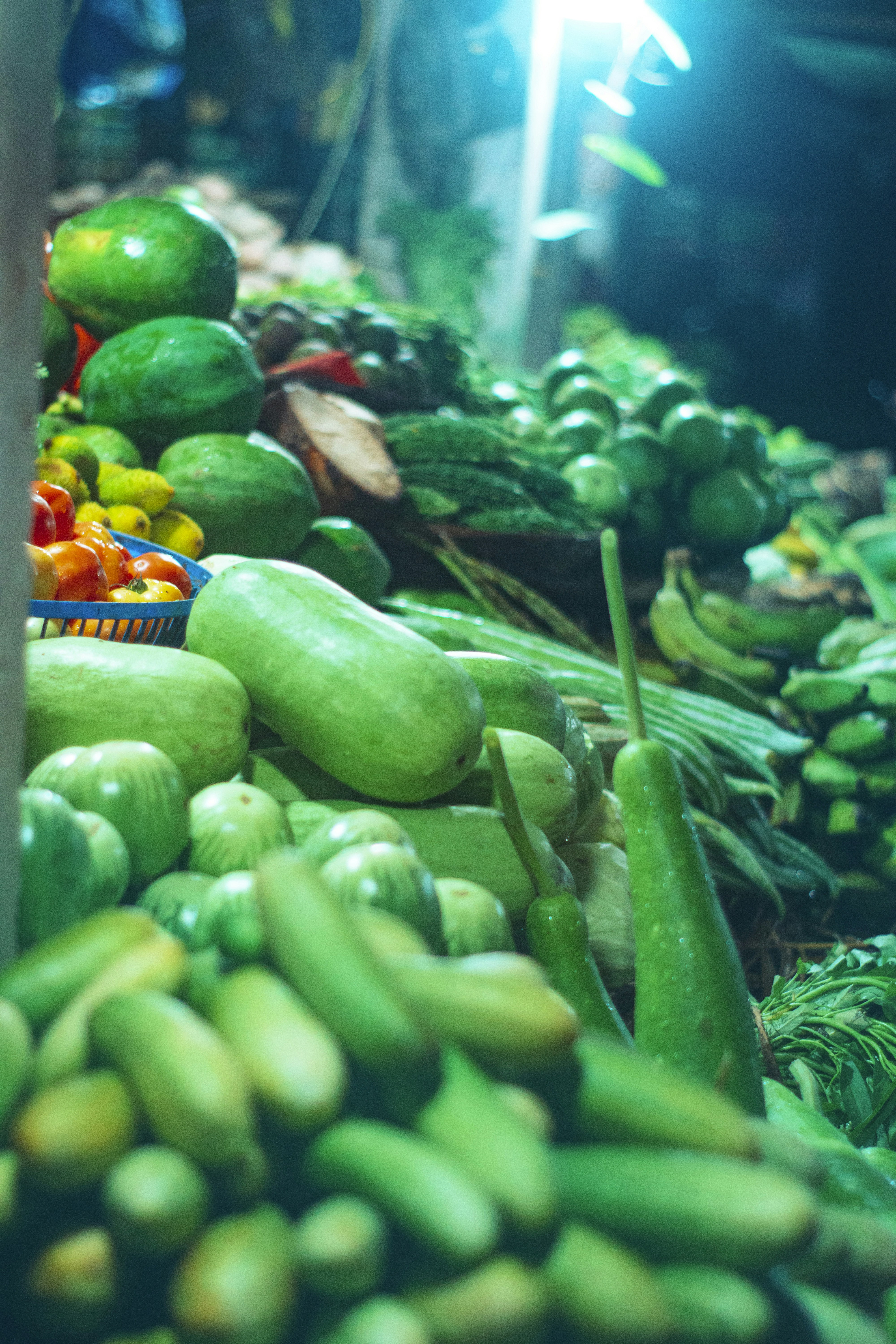 Photo by tarikulxraana