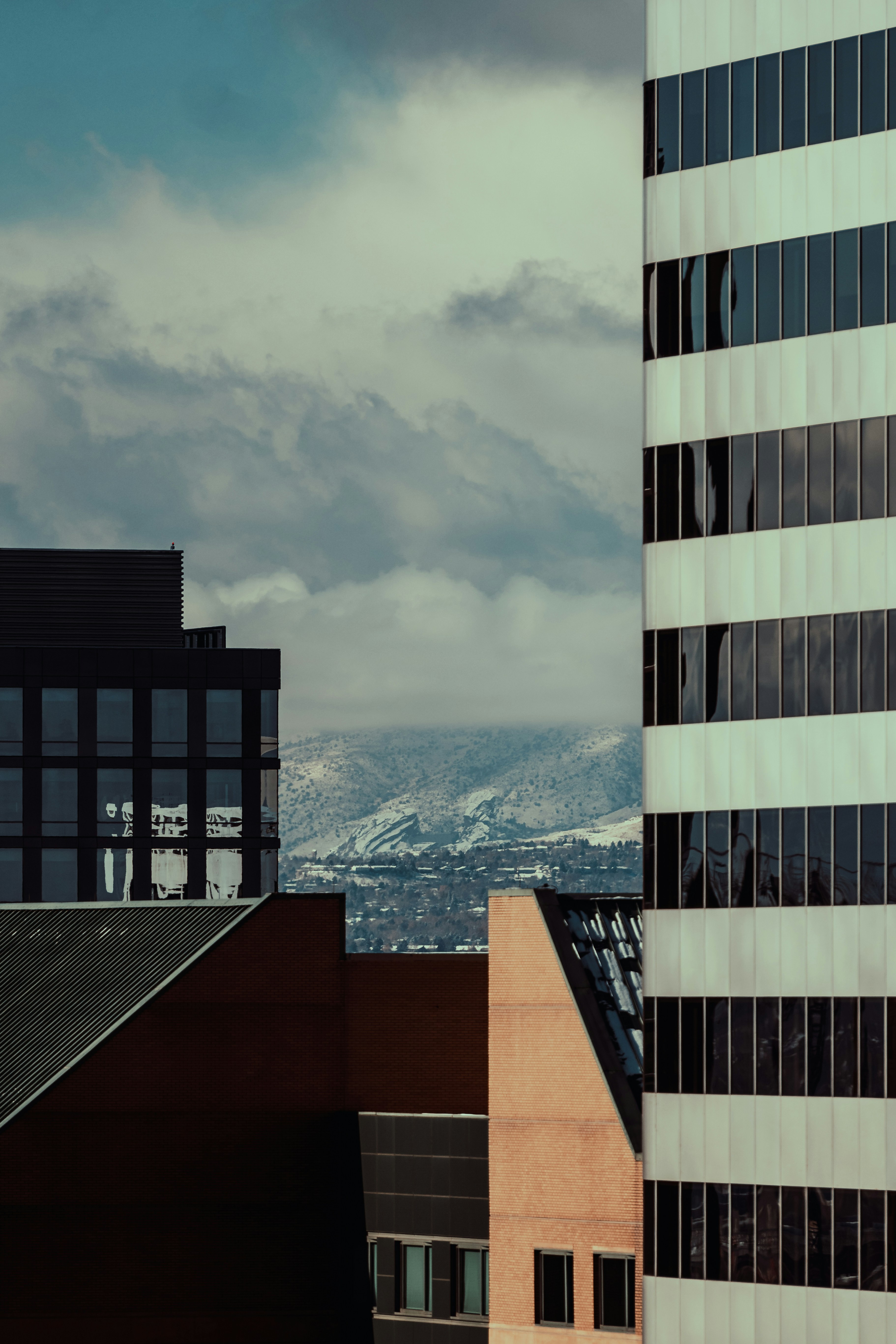 Photo by onthesearchforpineapples