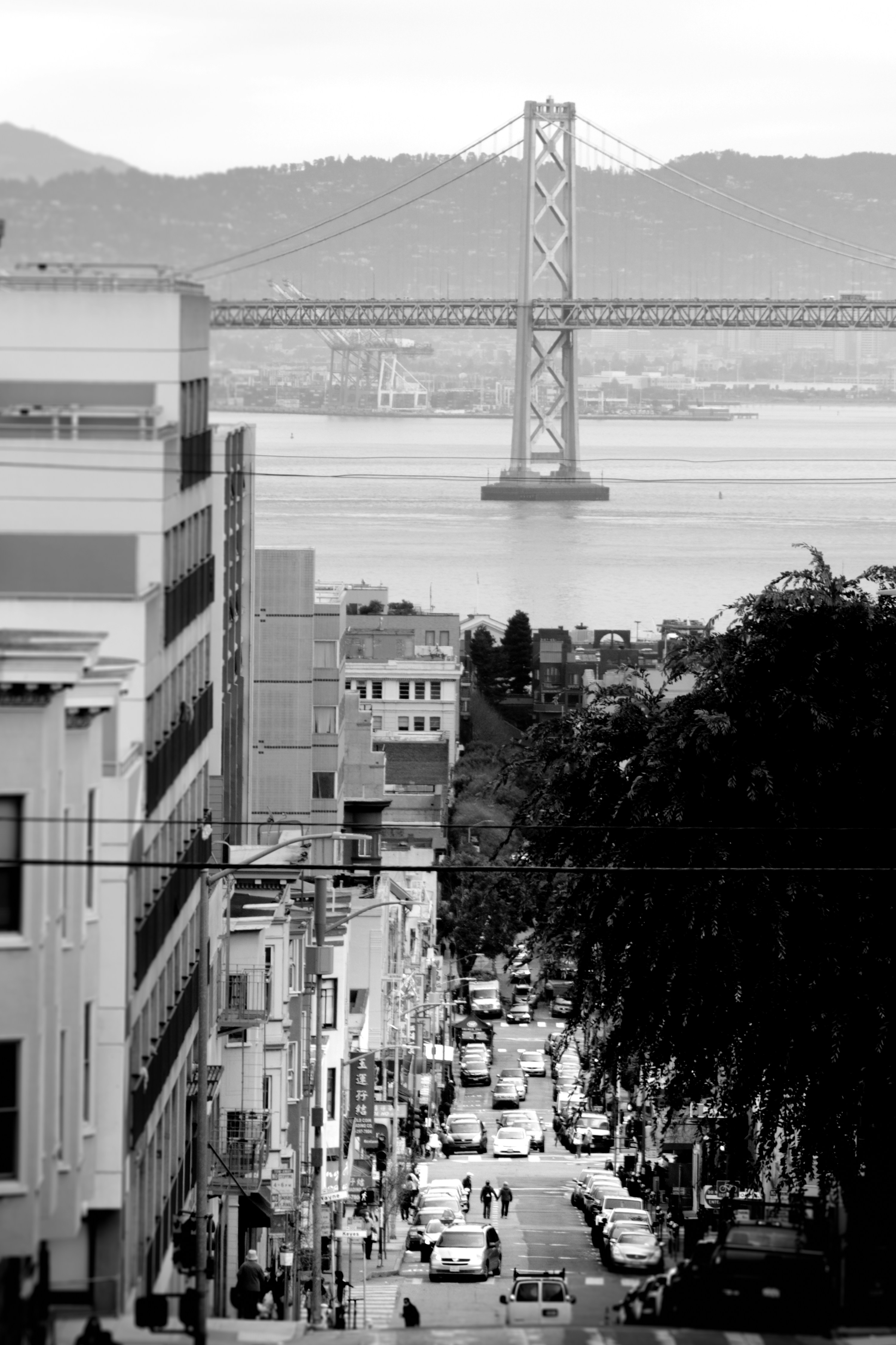 Photo by memory_terra