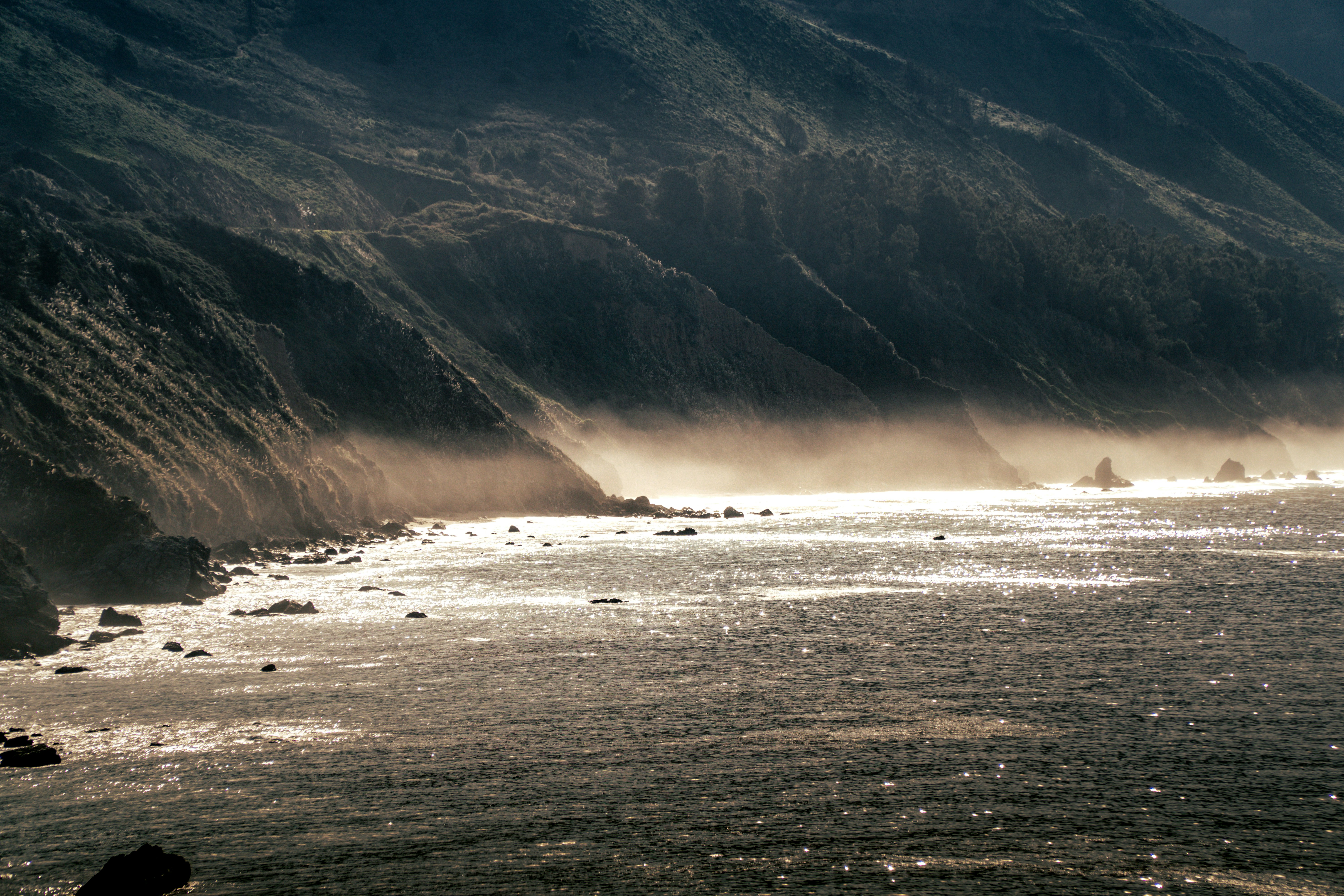 Photo by memory_terra