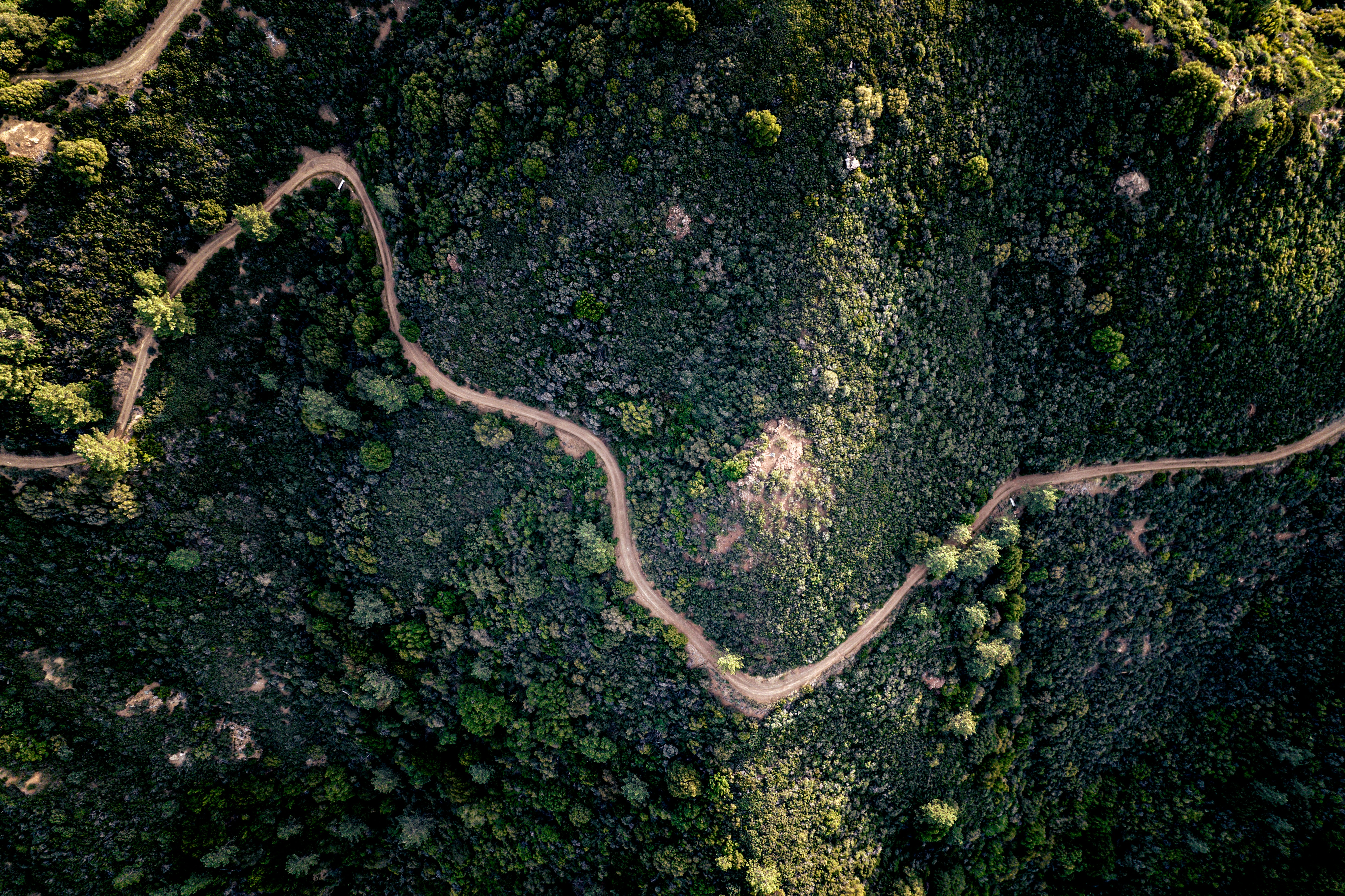 Photo by memory_terra