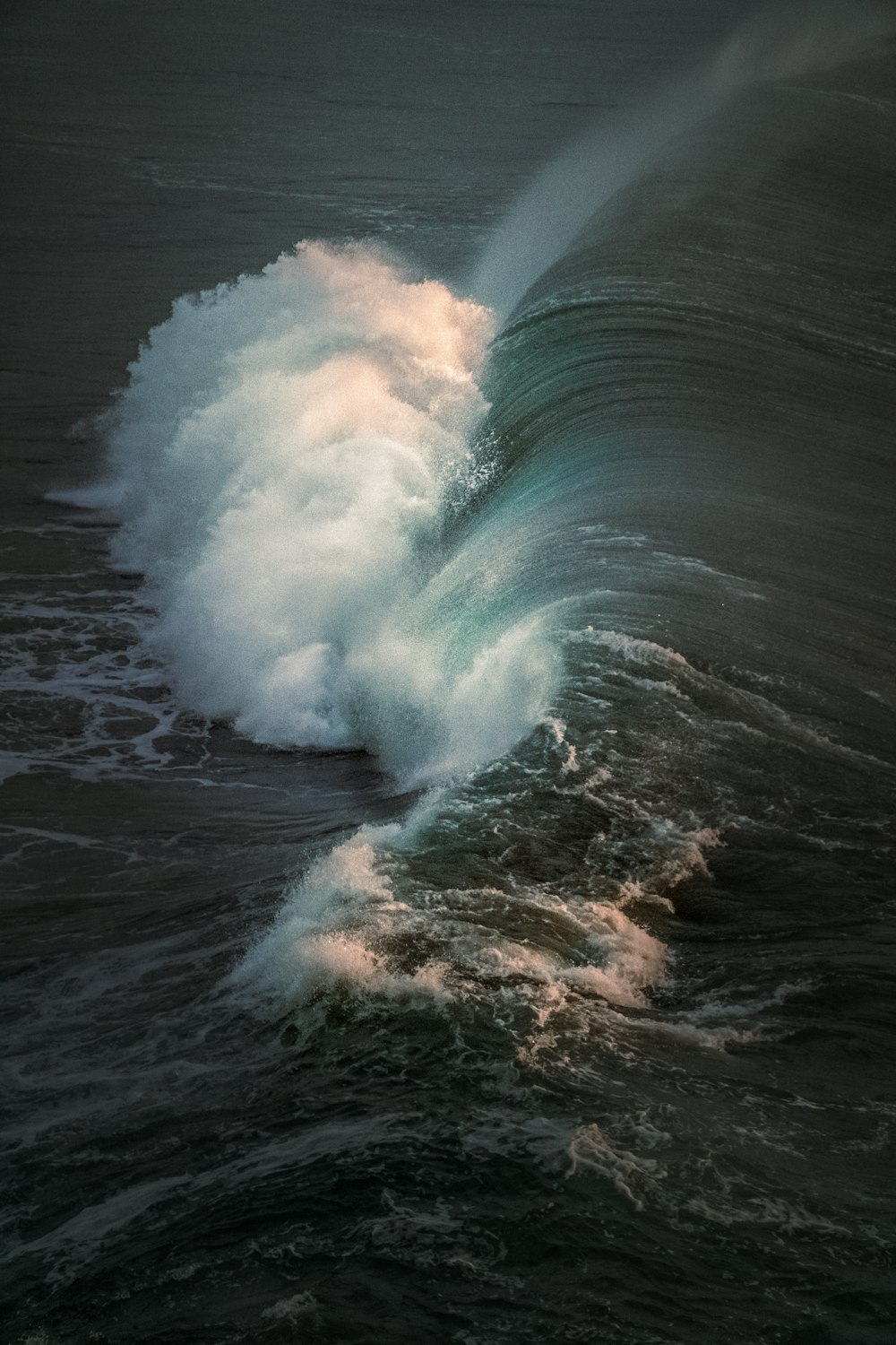 a wave in the ocean