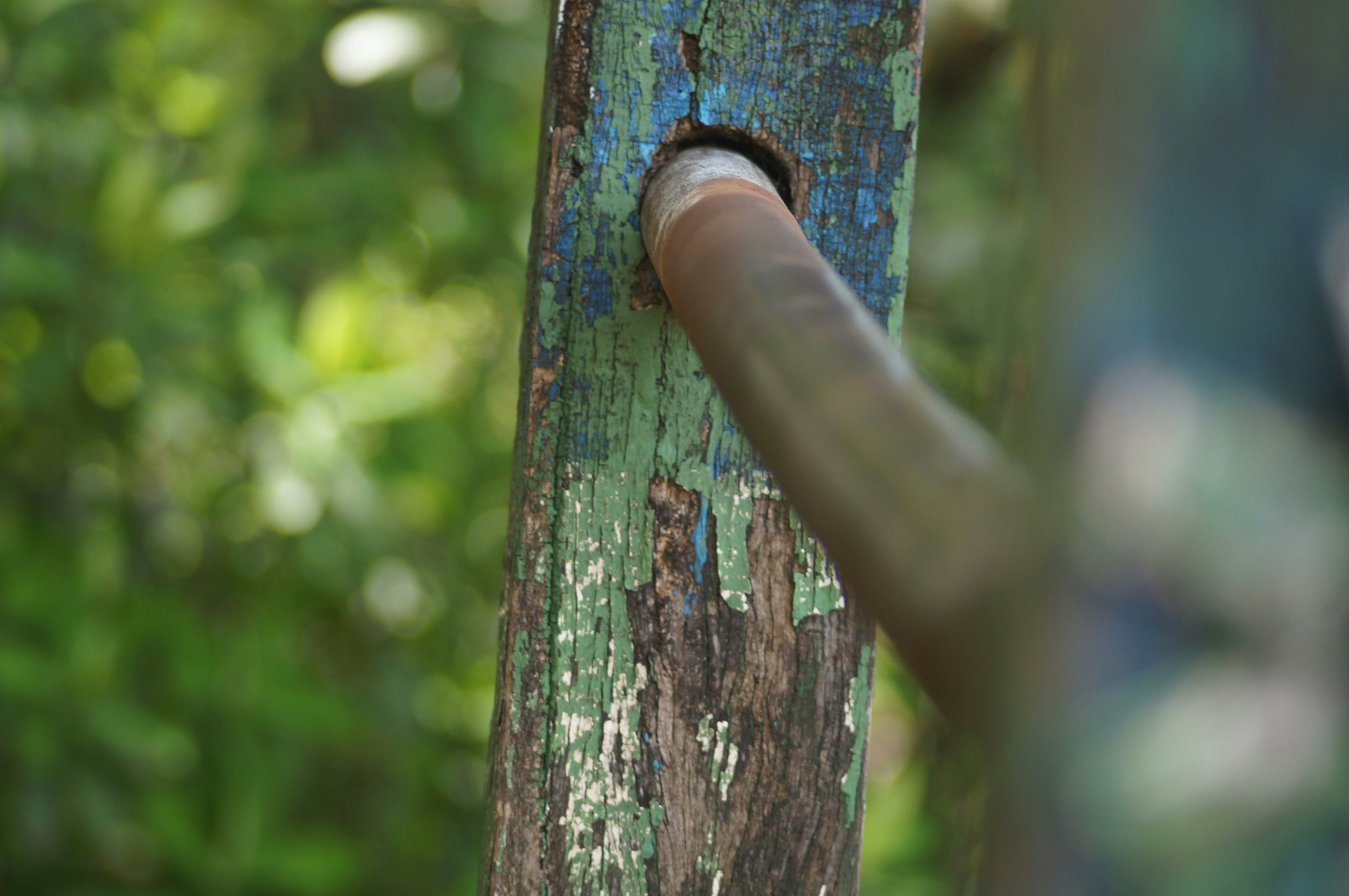 a close up of a tree trunk