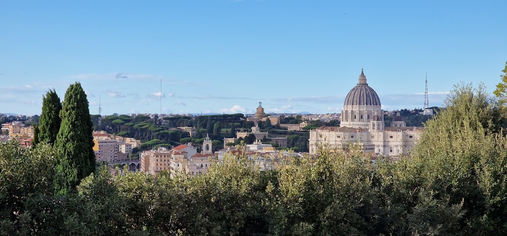 a city with trees and buildings