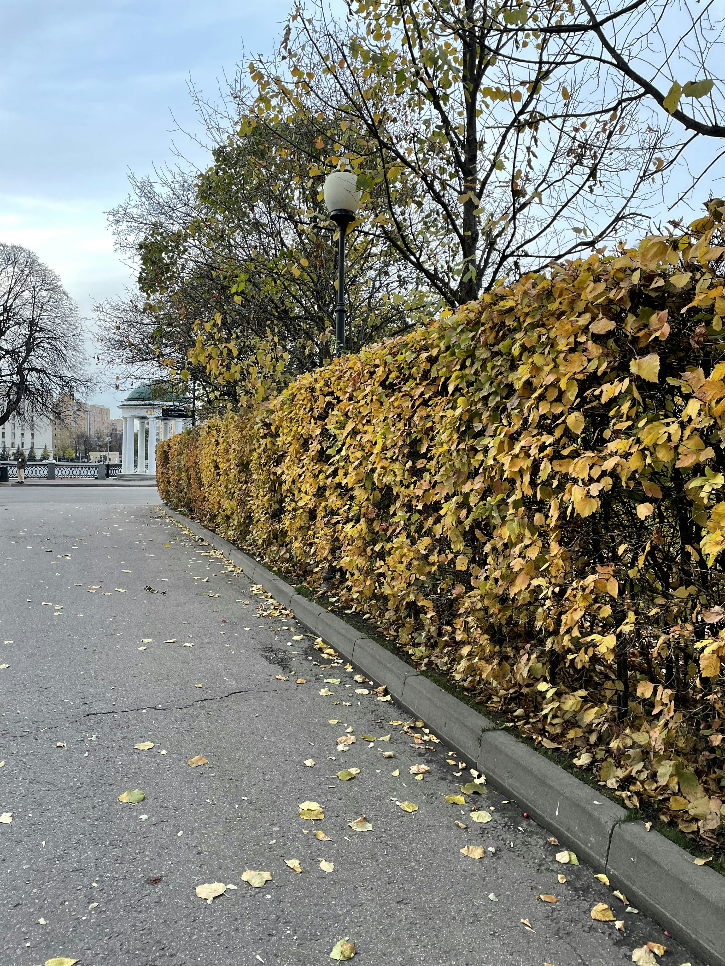 Photo by egor_antverpen