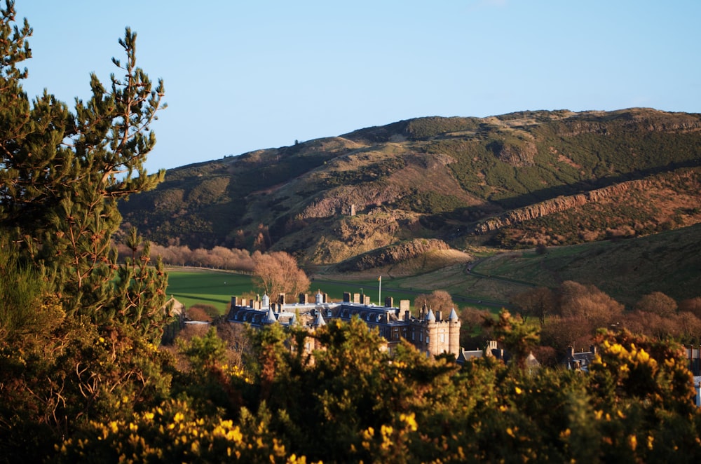 a castle on a hill