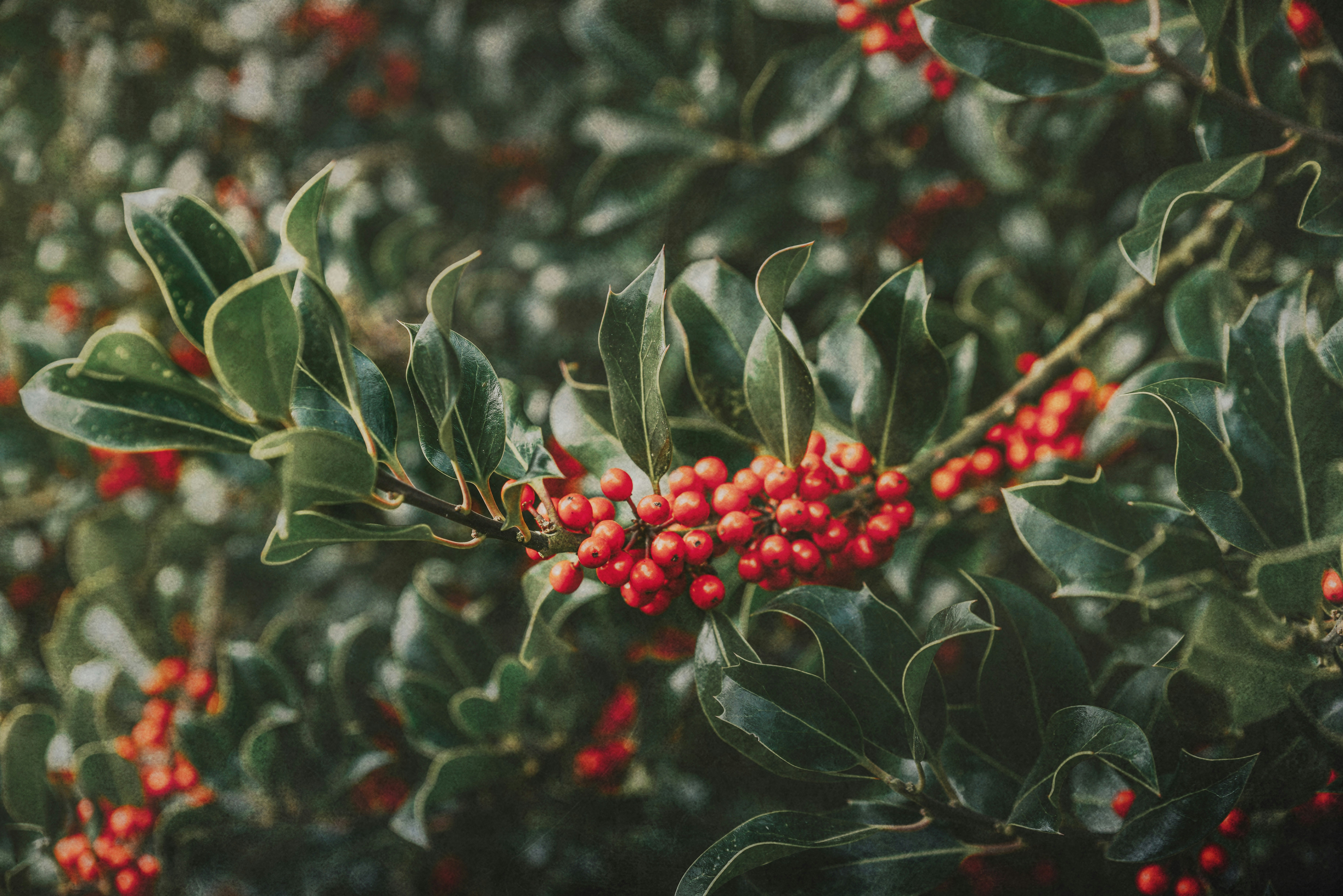 Photo by anitaaustvika