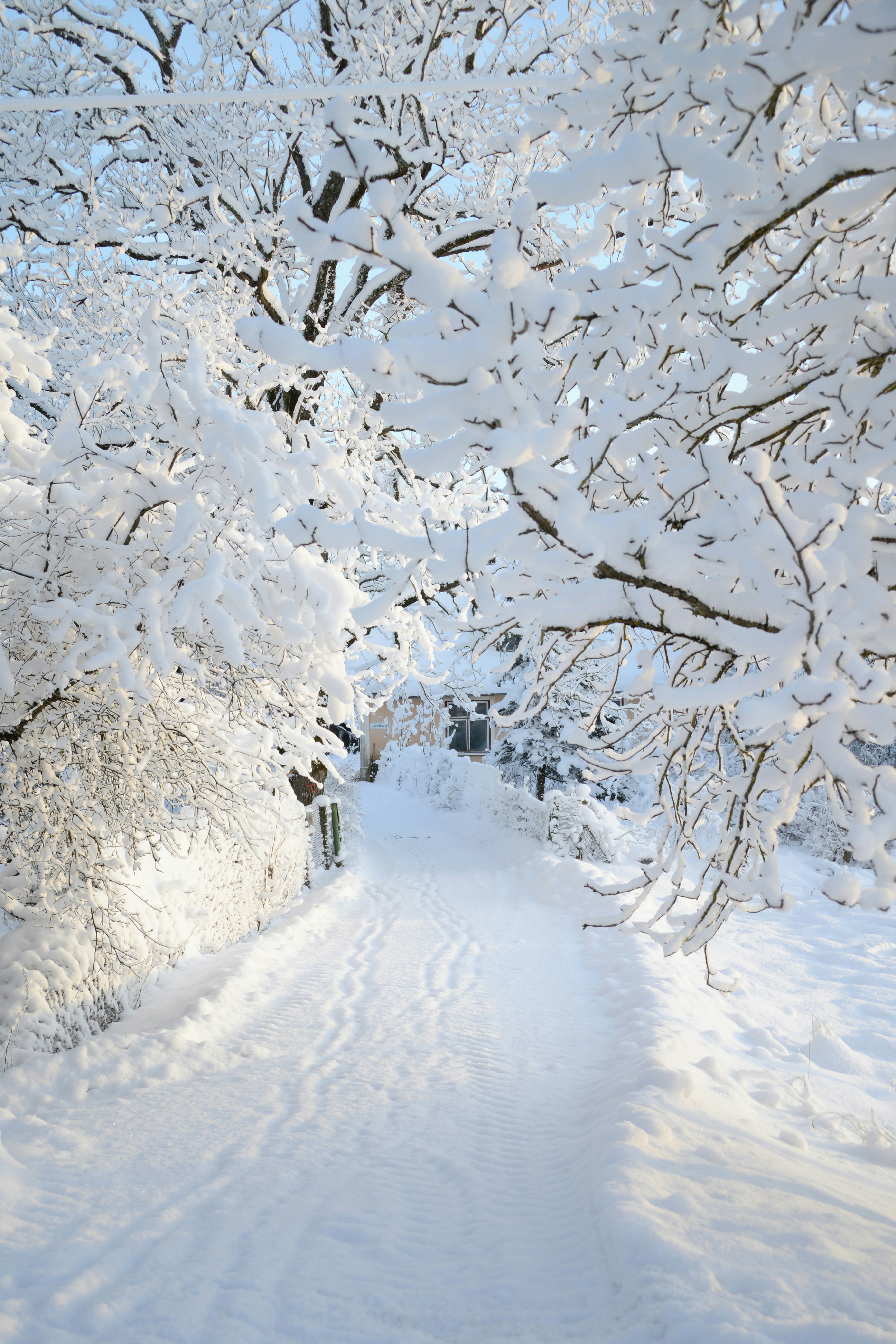 Photo by anitaaustvika