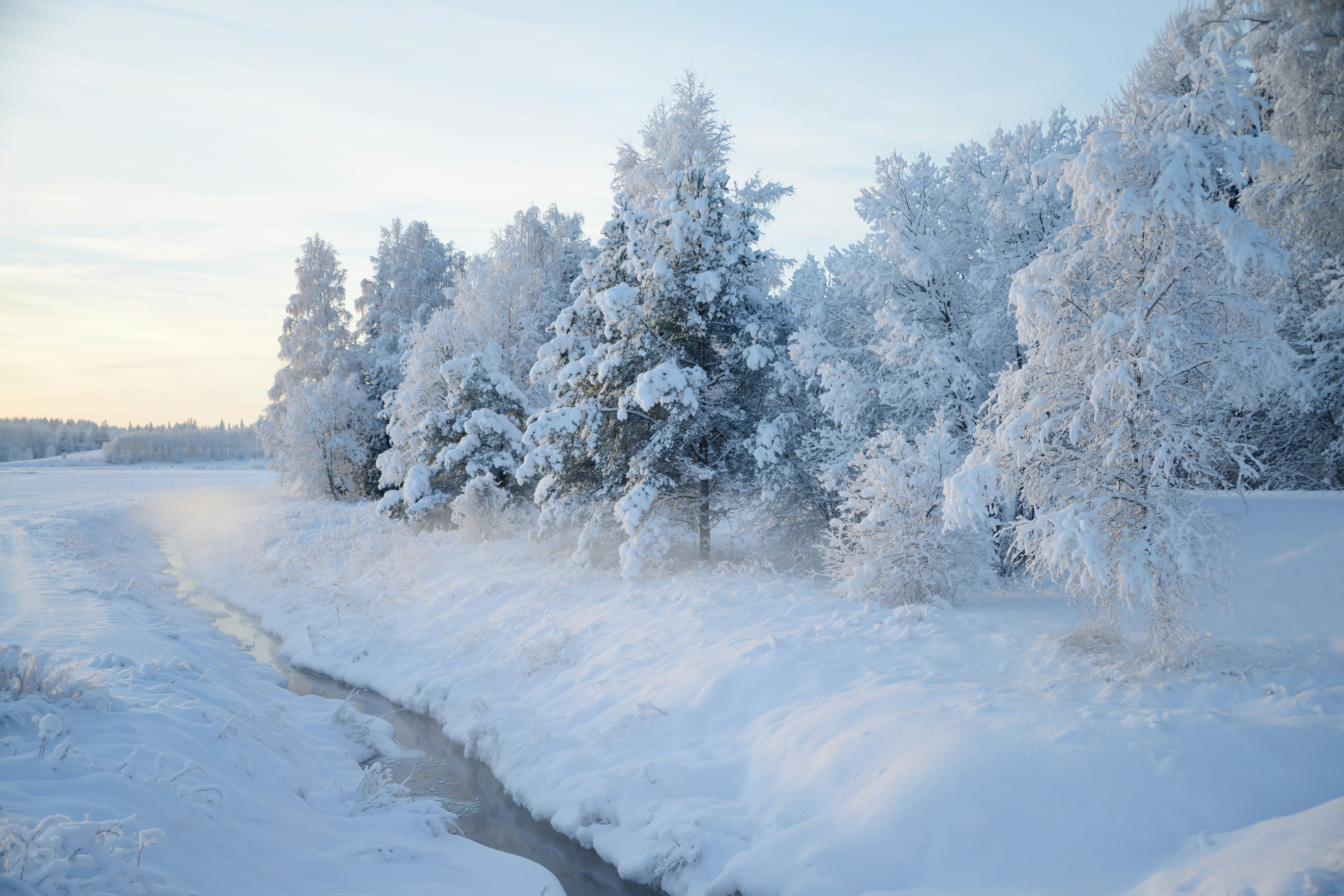 Photo by anitaaustvika