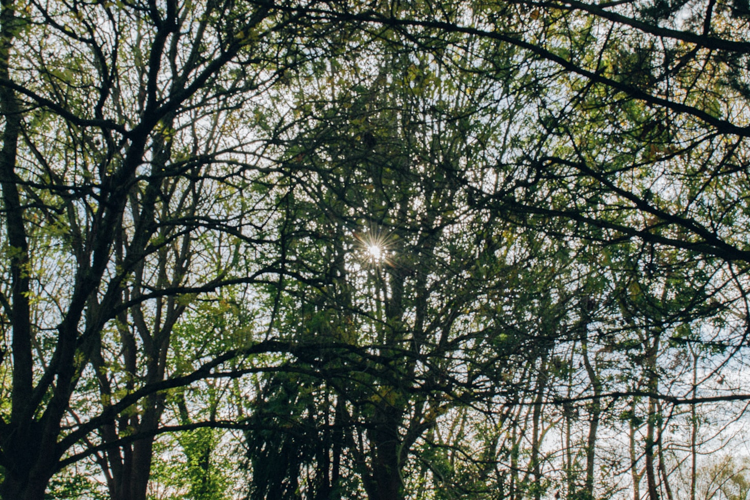 VideoMind——基于 Chain-of-LoRA 的长视频推理框架