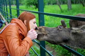 Moosei Moo interacting with fans at an outdoor hip hop event at sunset.