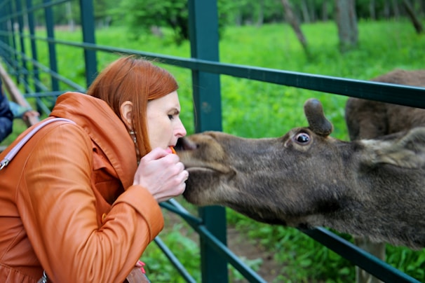 Moosei Moo interacting with fans at an outdoor hip hop event at sunset.