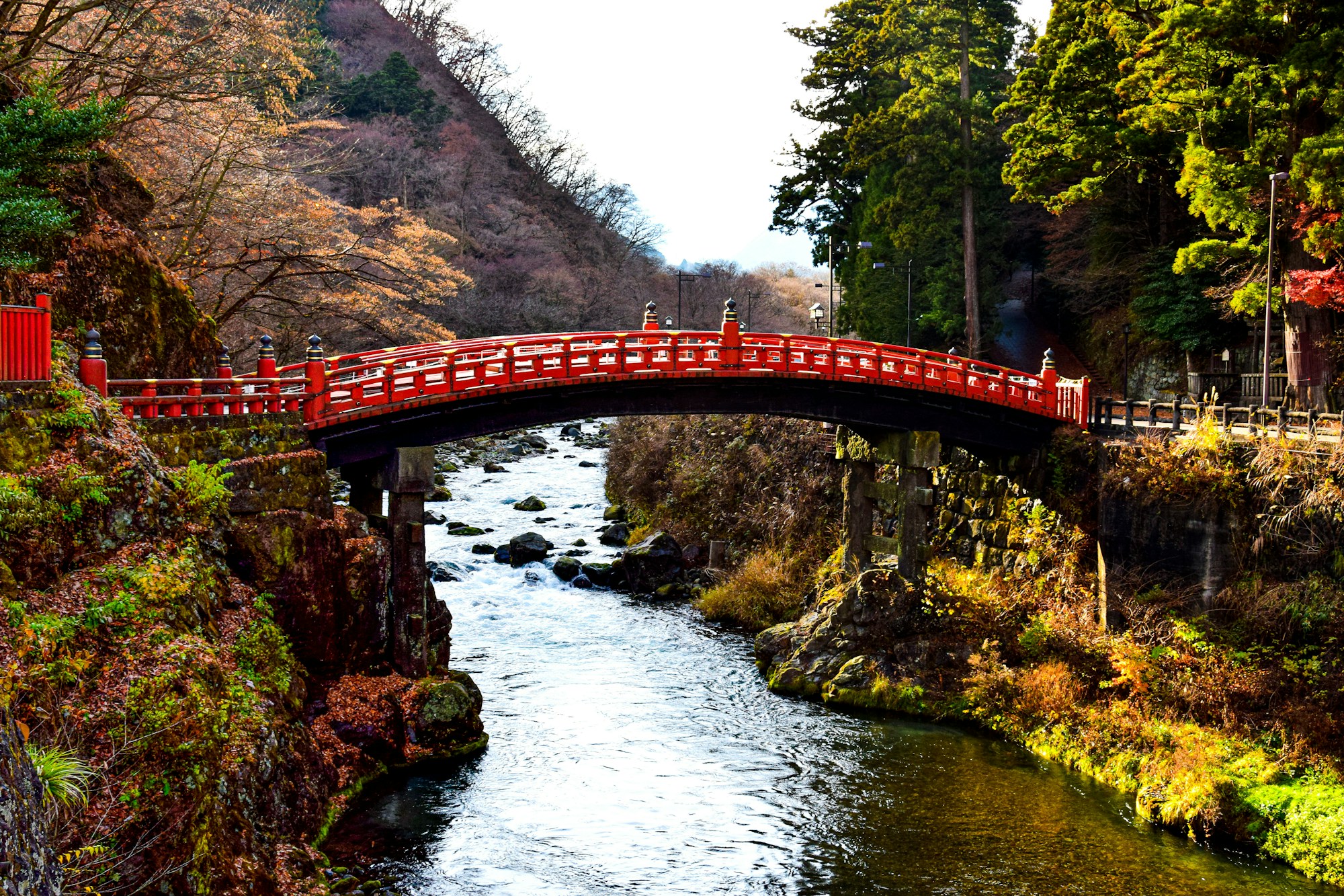 Exploring Tochigi's Traditional Cuisine: Dishes, Restaurants & Recipes
