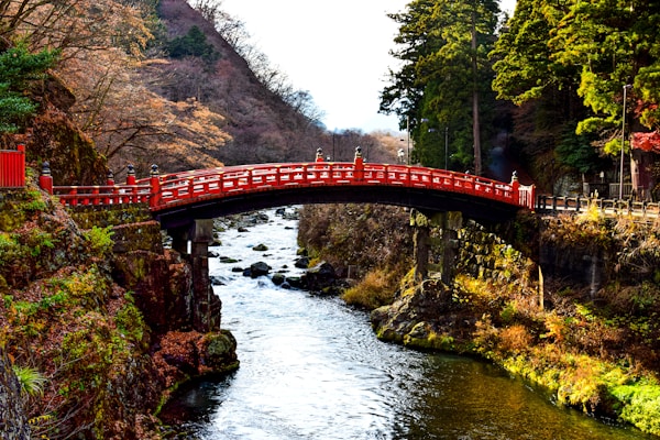 Exploring Tochigi's Traditional Cuisine: Dishes, Restaurants & Recipes