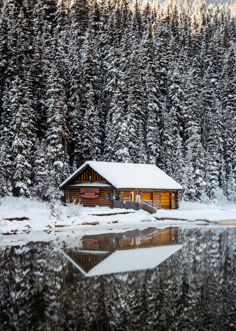 a cabin in the snow