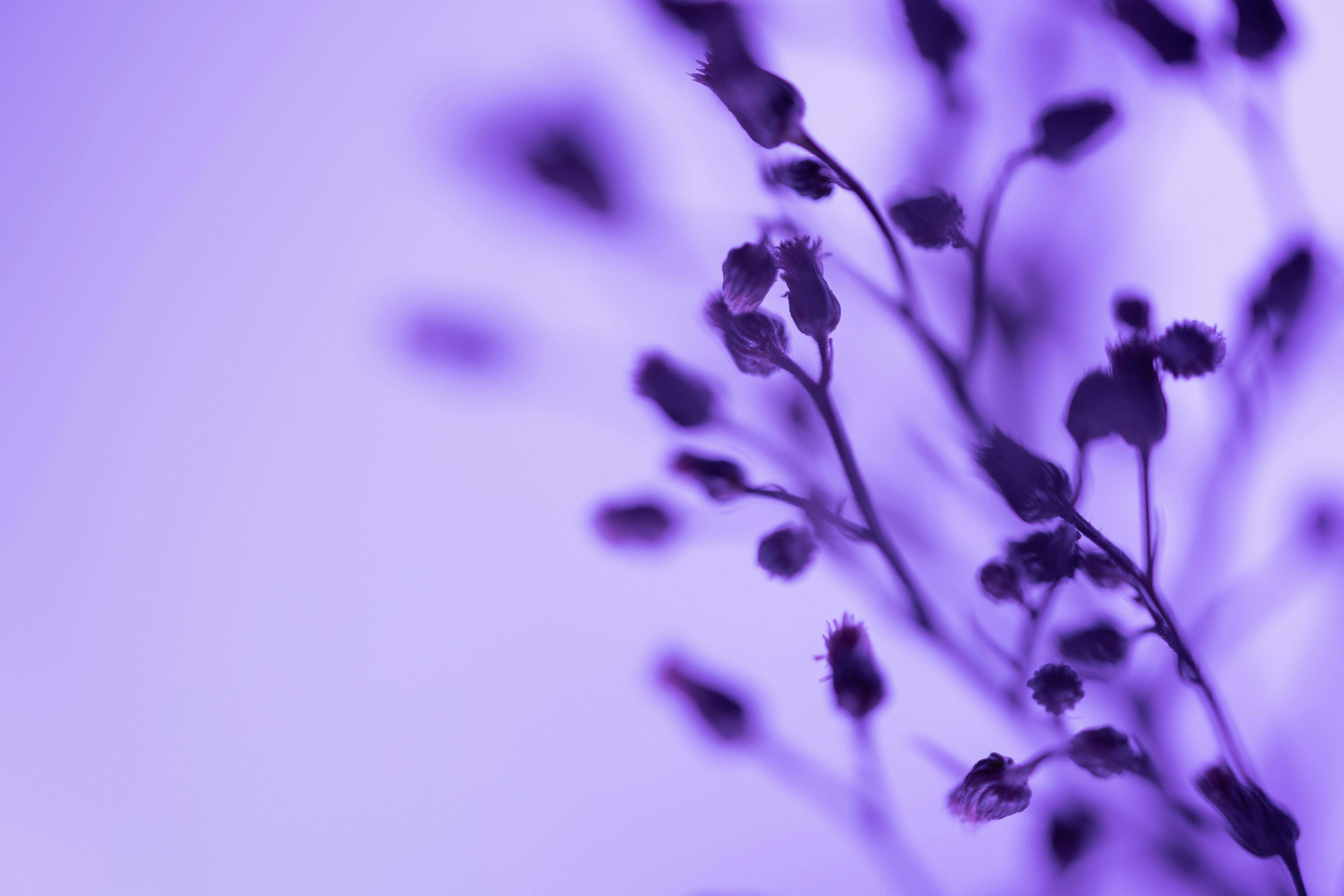 Photo by marekpiwnicki