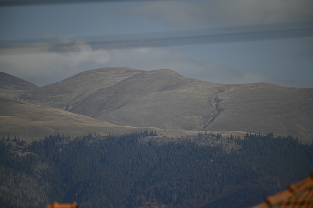 a mountain range with trees