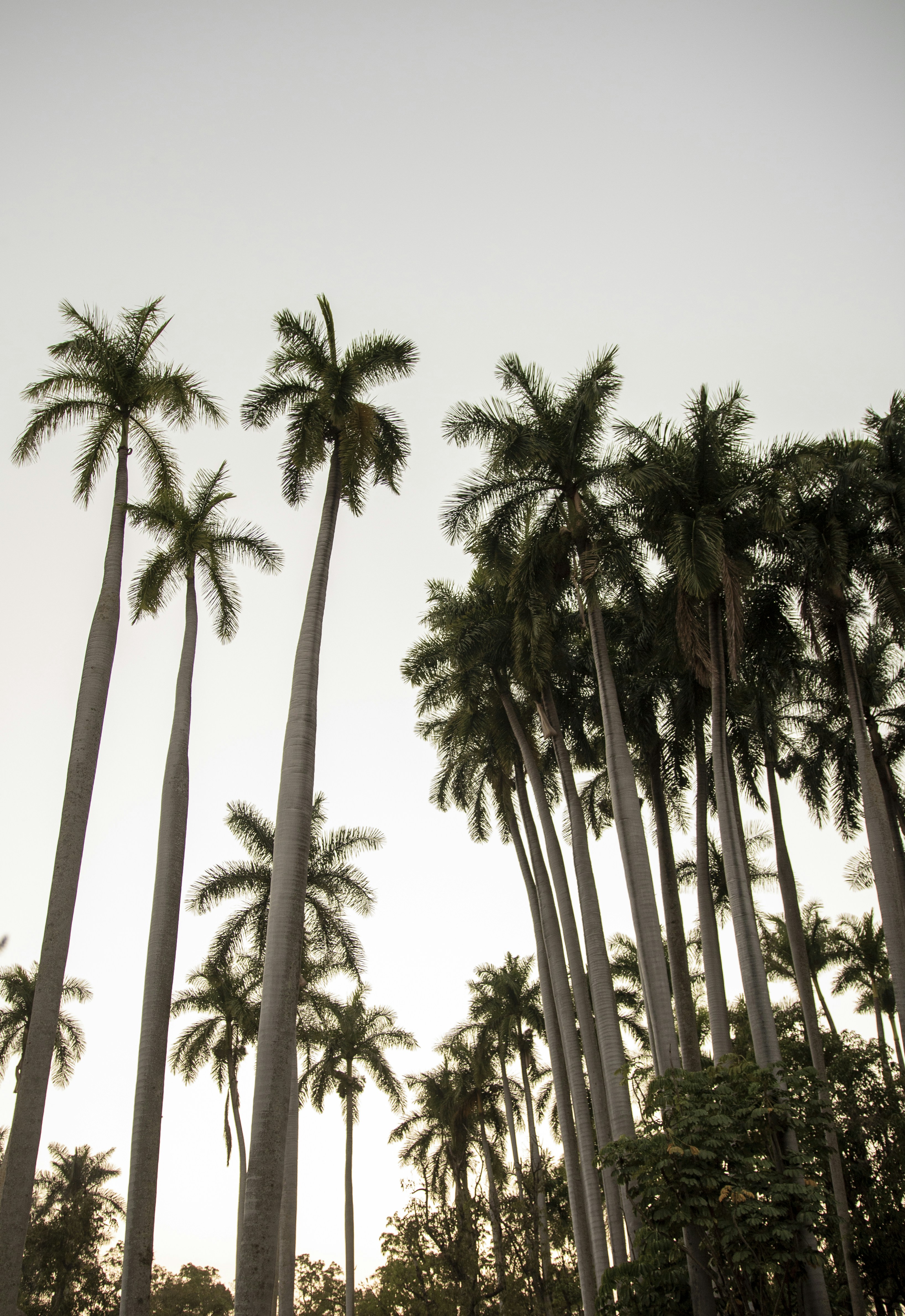 Photo by camaranegra