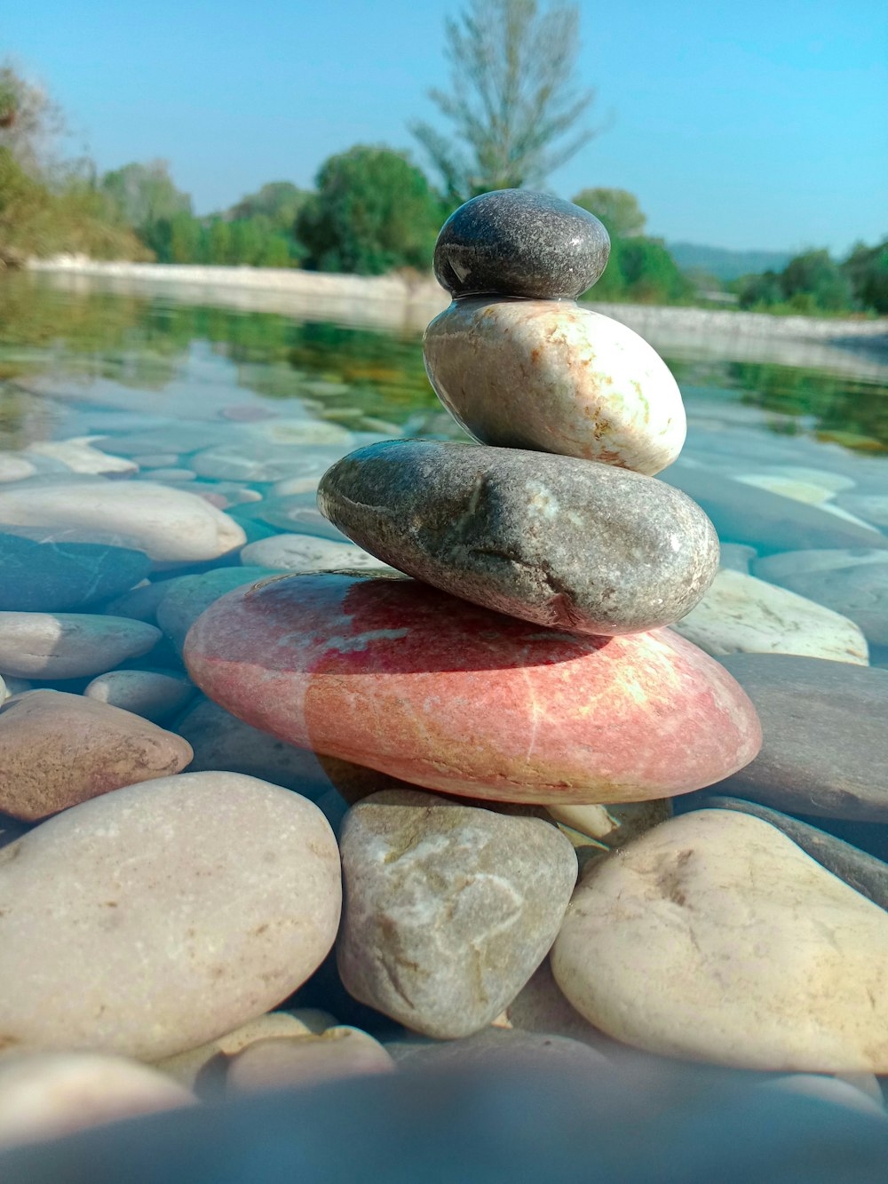 Un grupo de rocas sobre una roca