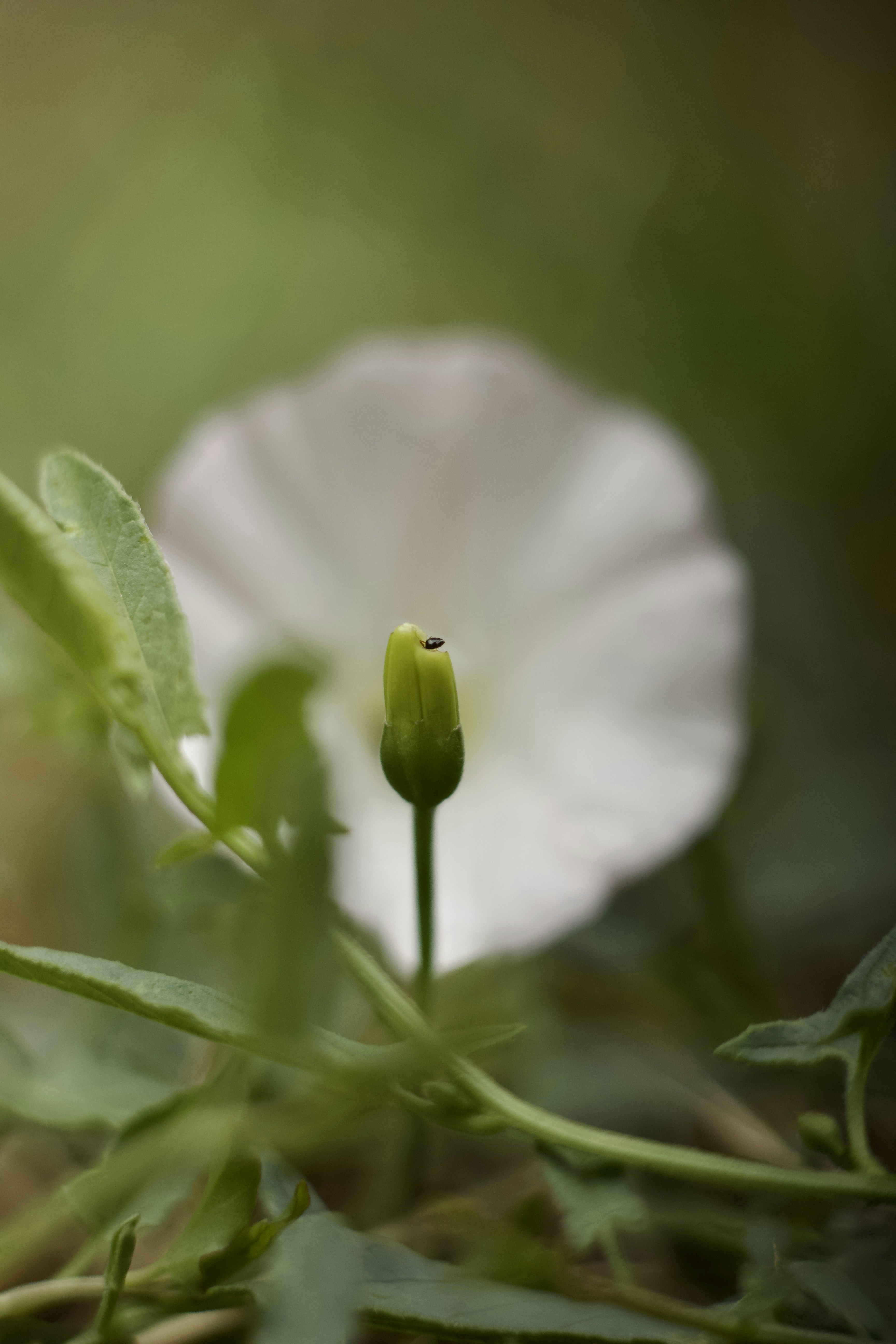 Photo by mattia_poli_04