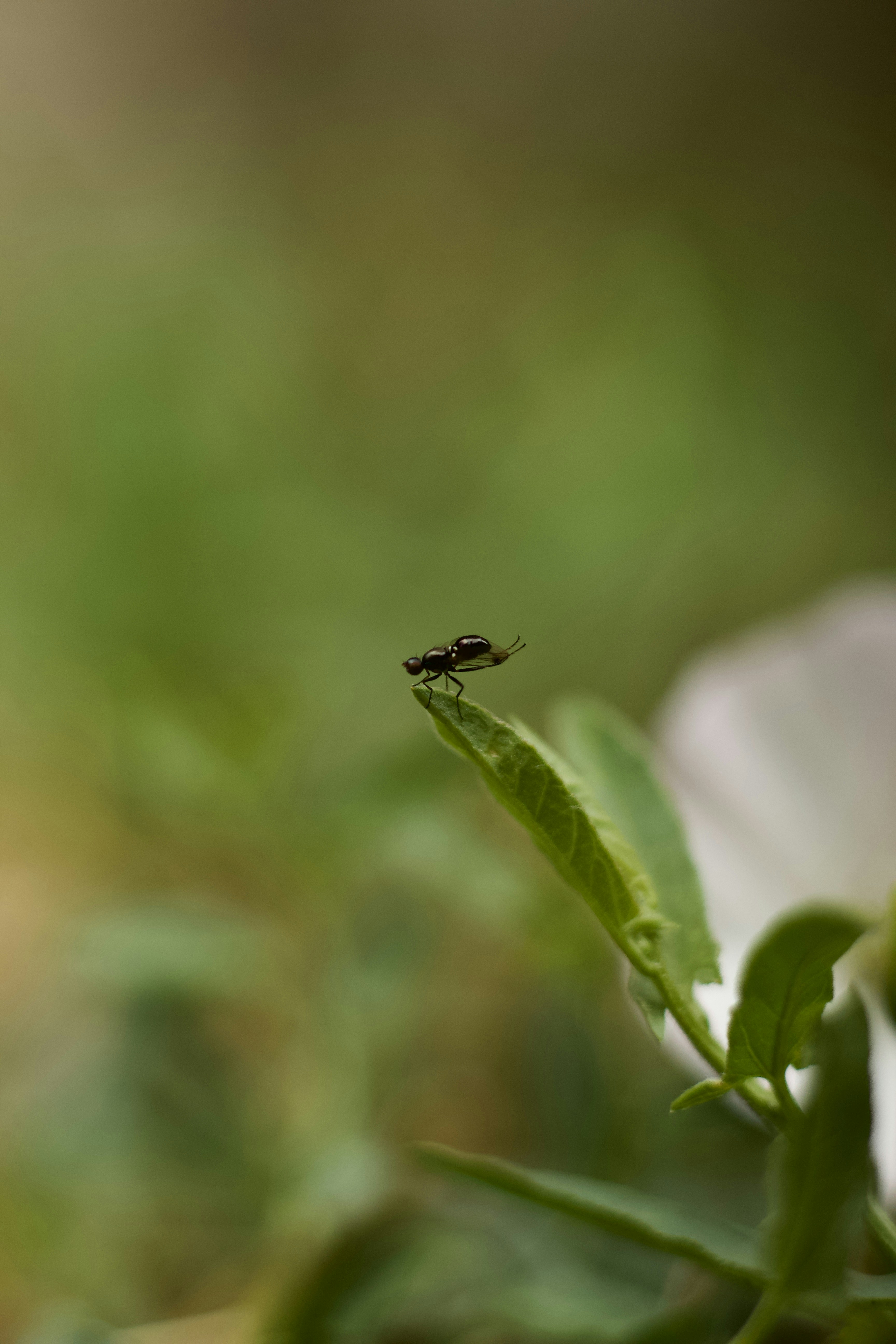 Photo by mattia_poli_04