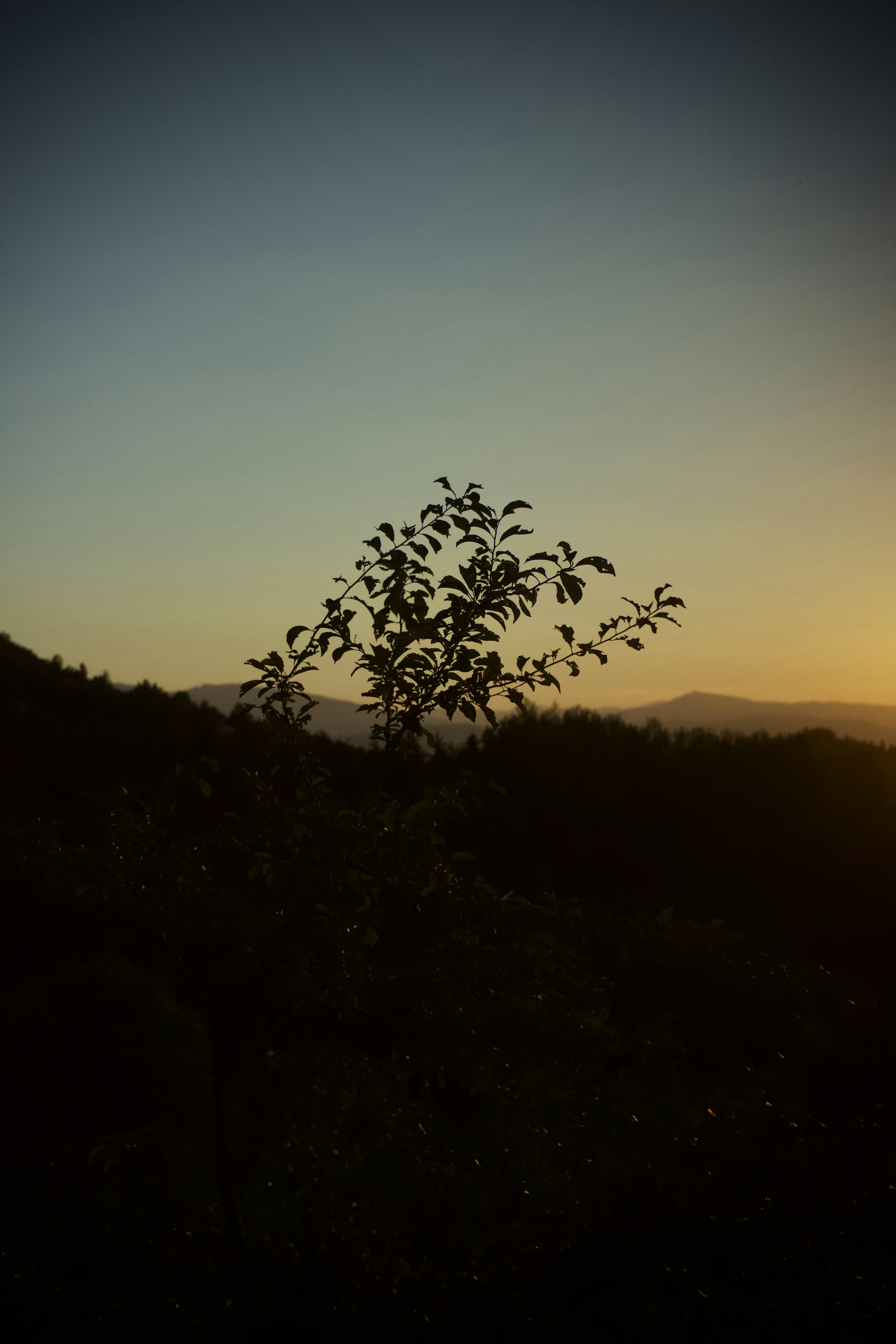 Photo by mattia_poli_04