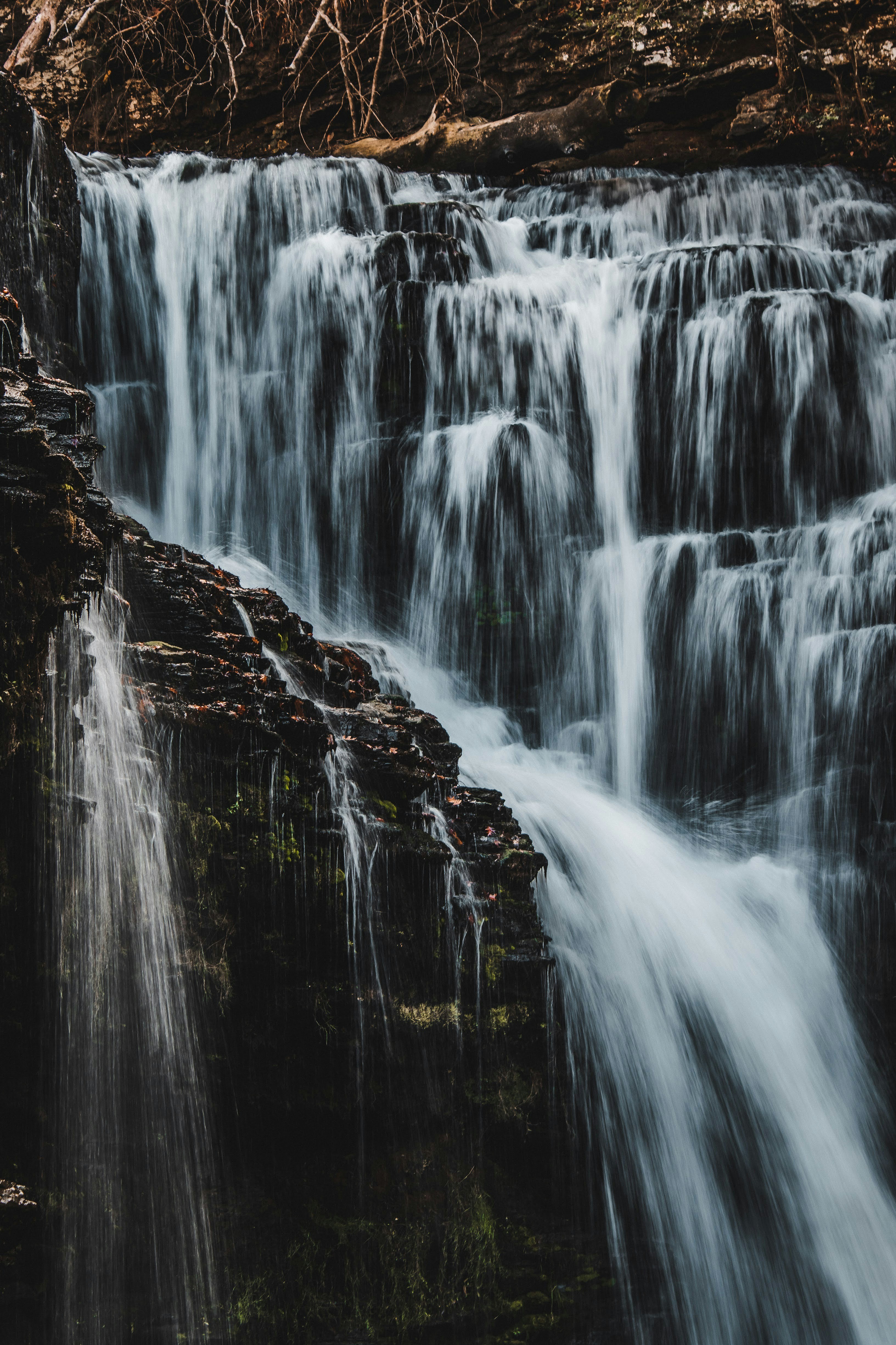 Photo by brice_cooper18