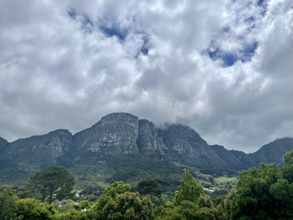 a landscape with trees and mountains in the back